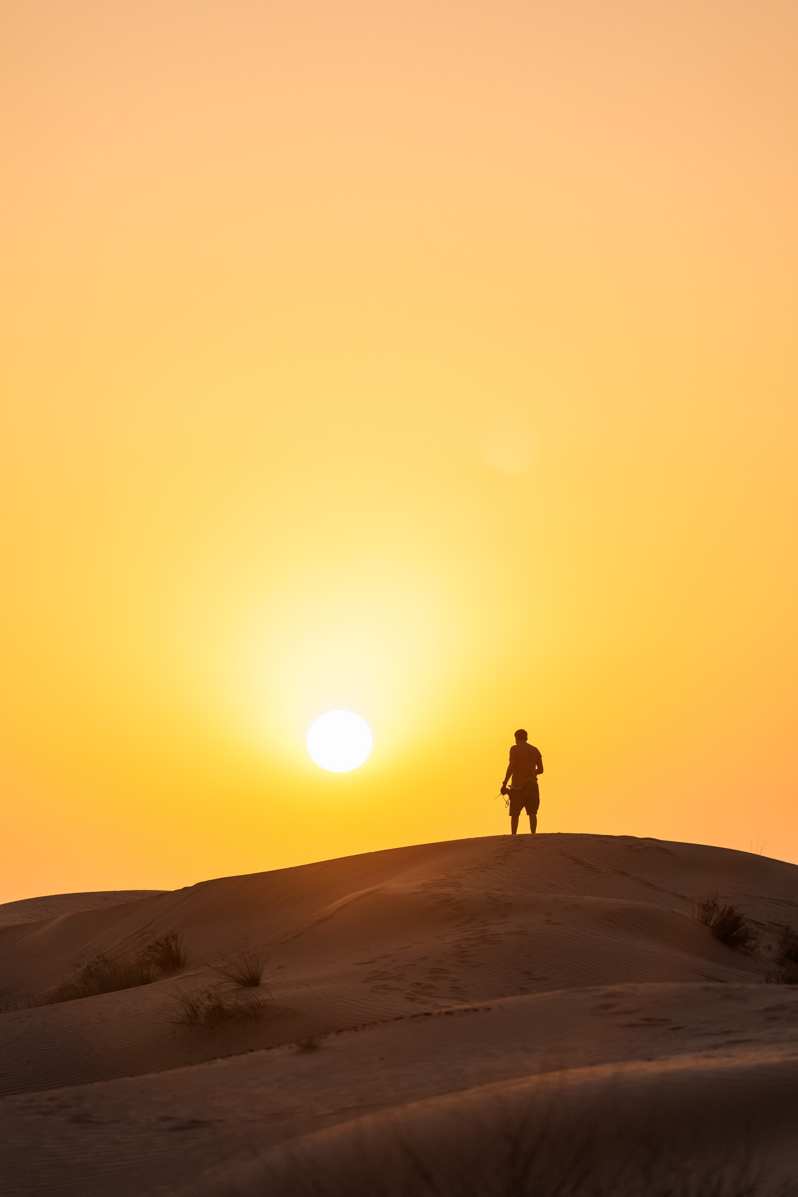 Dezert. Photographer in Saint-Petersburg and Moscow Max Spector