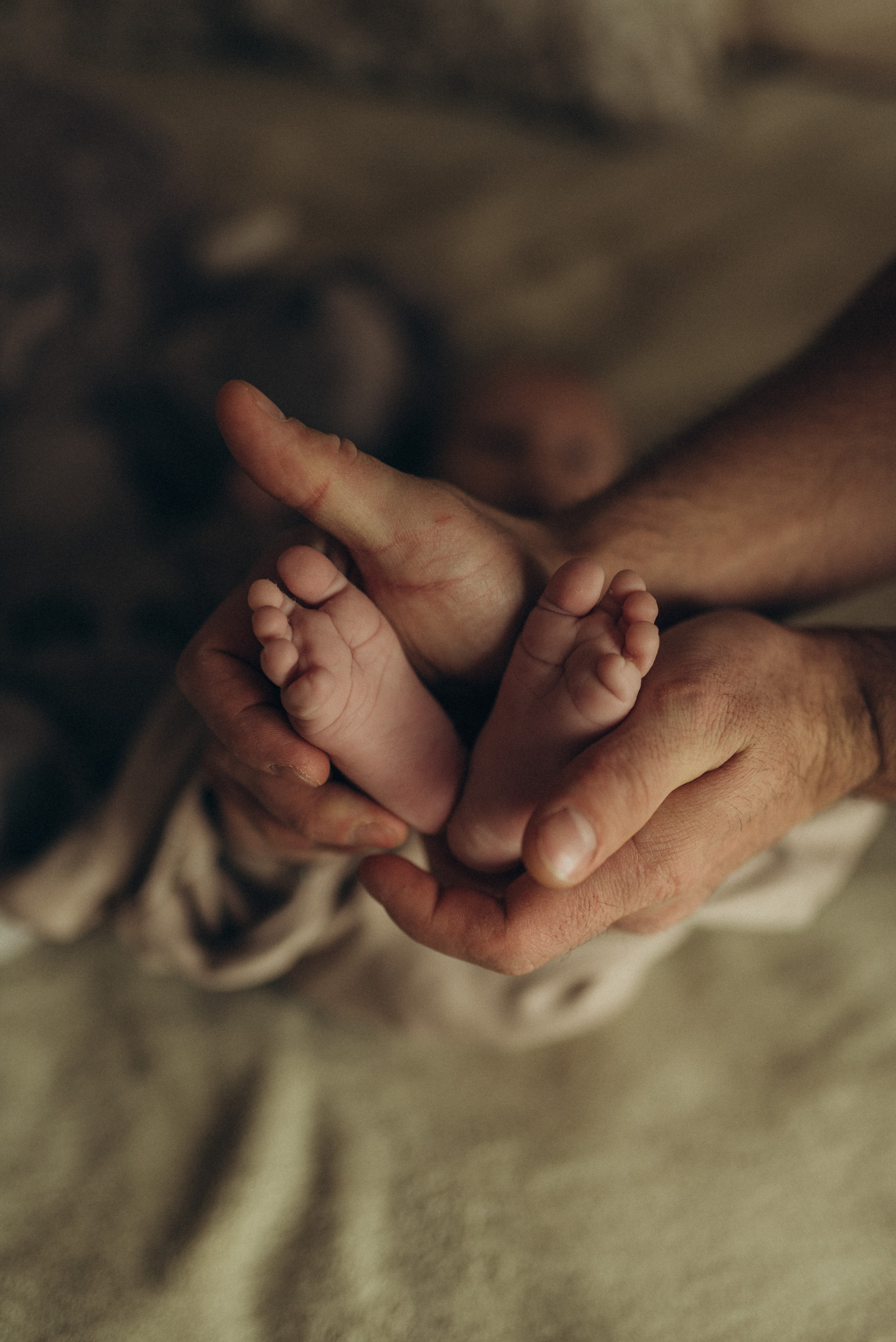 Всеволод. Семейный фотограф в Москве Екатерина Север