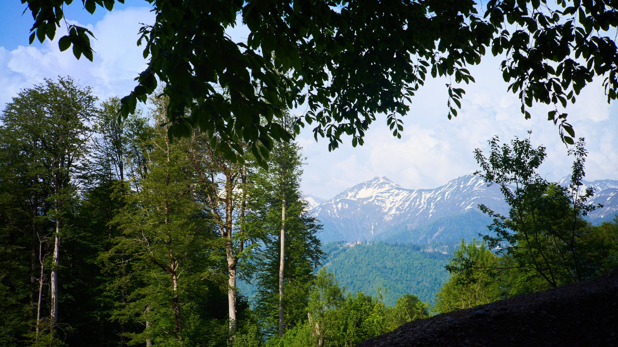 Красная Поляна, апрель 2024. Фотограф, Римма Невинская