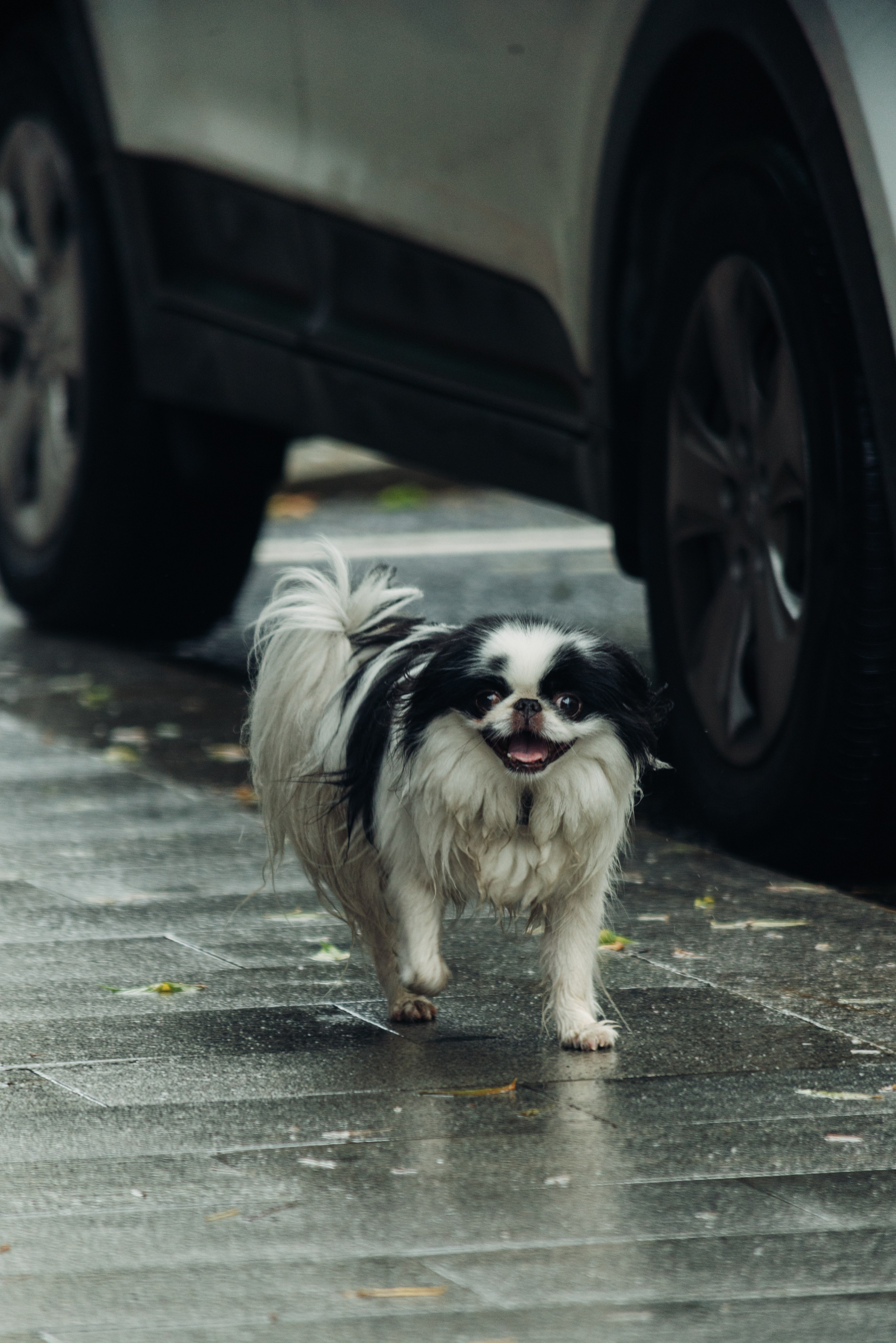 Лица Столицы. Главная