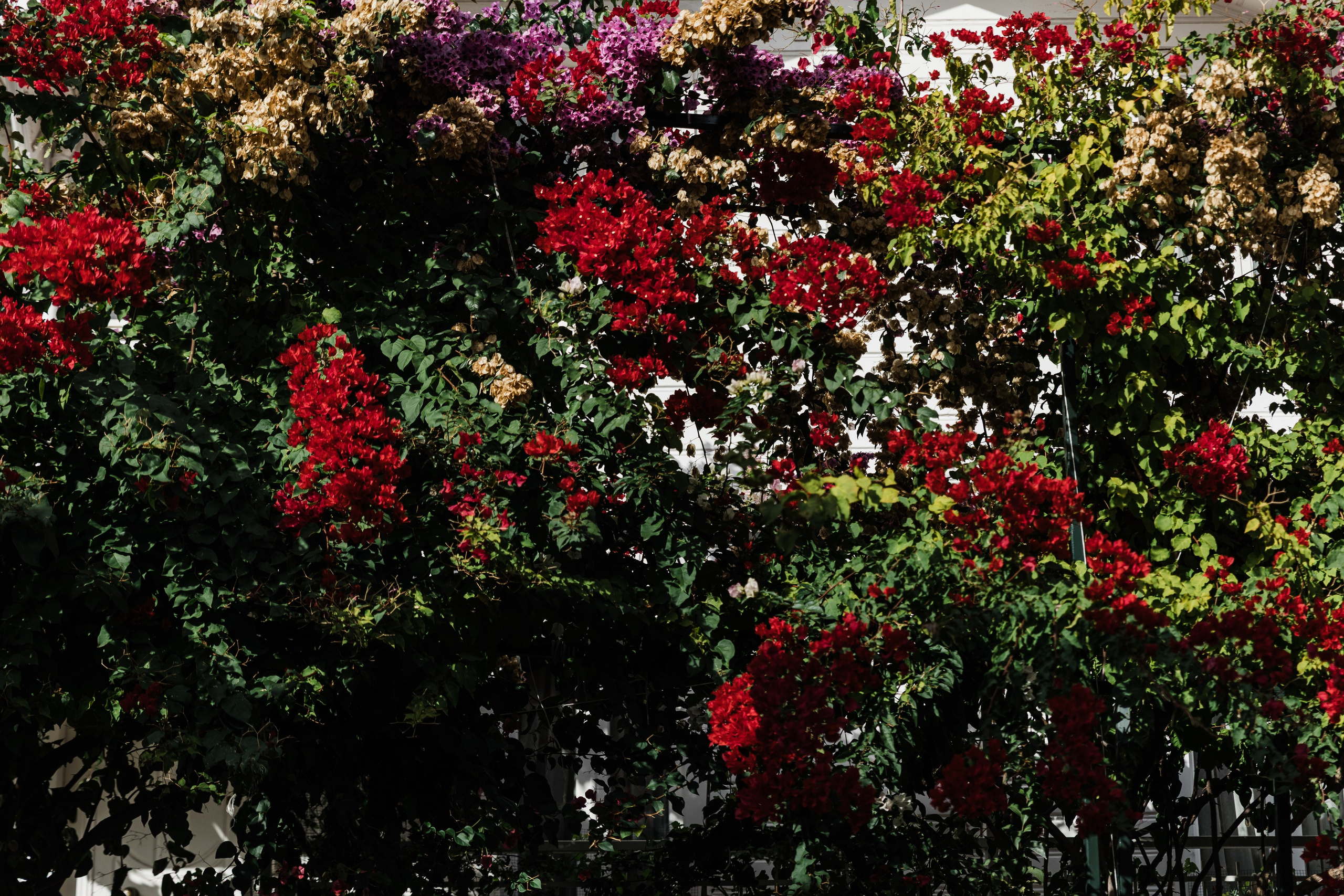 Türkiye. Свадебный и семейный фотограф в Краснодаре Роман Моско