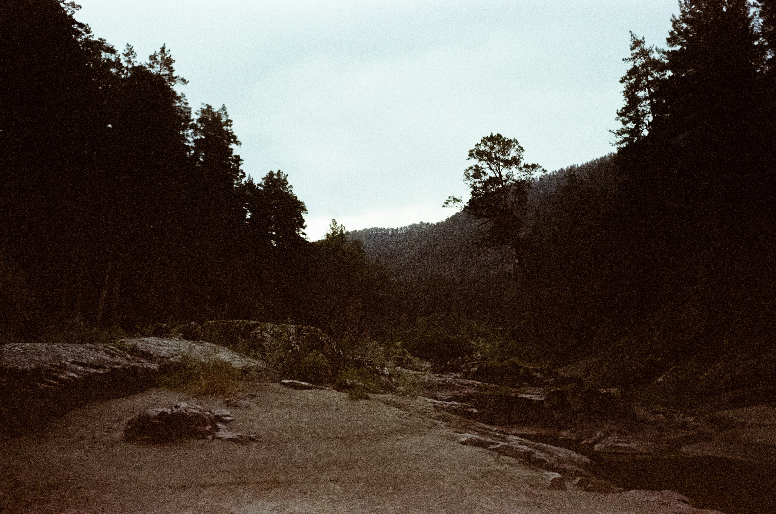 АЛТАЙ осень 2024 / Minox 35 GT (2) / Kodak Ultra Gold 400 24К (просрочка)