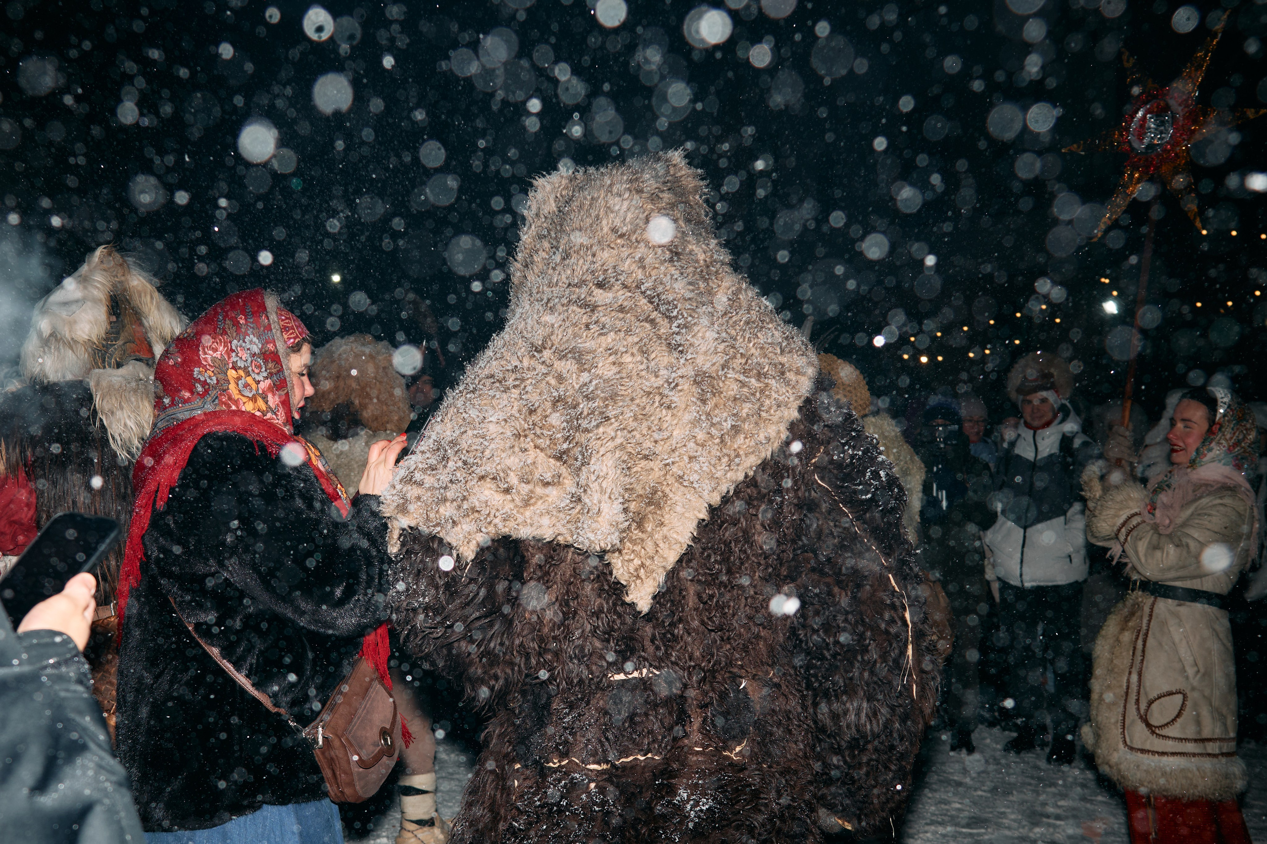 С медведем по соседям. Фотограф