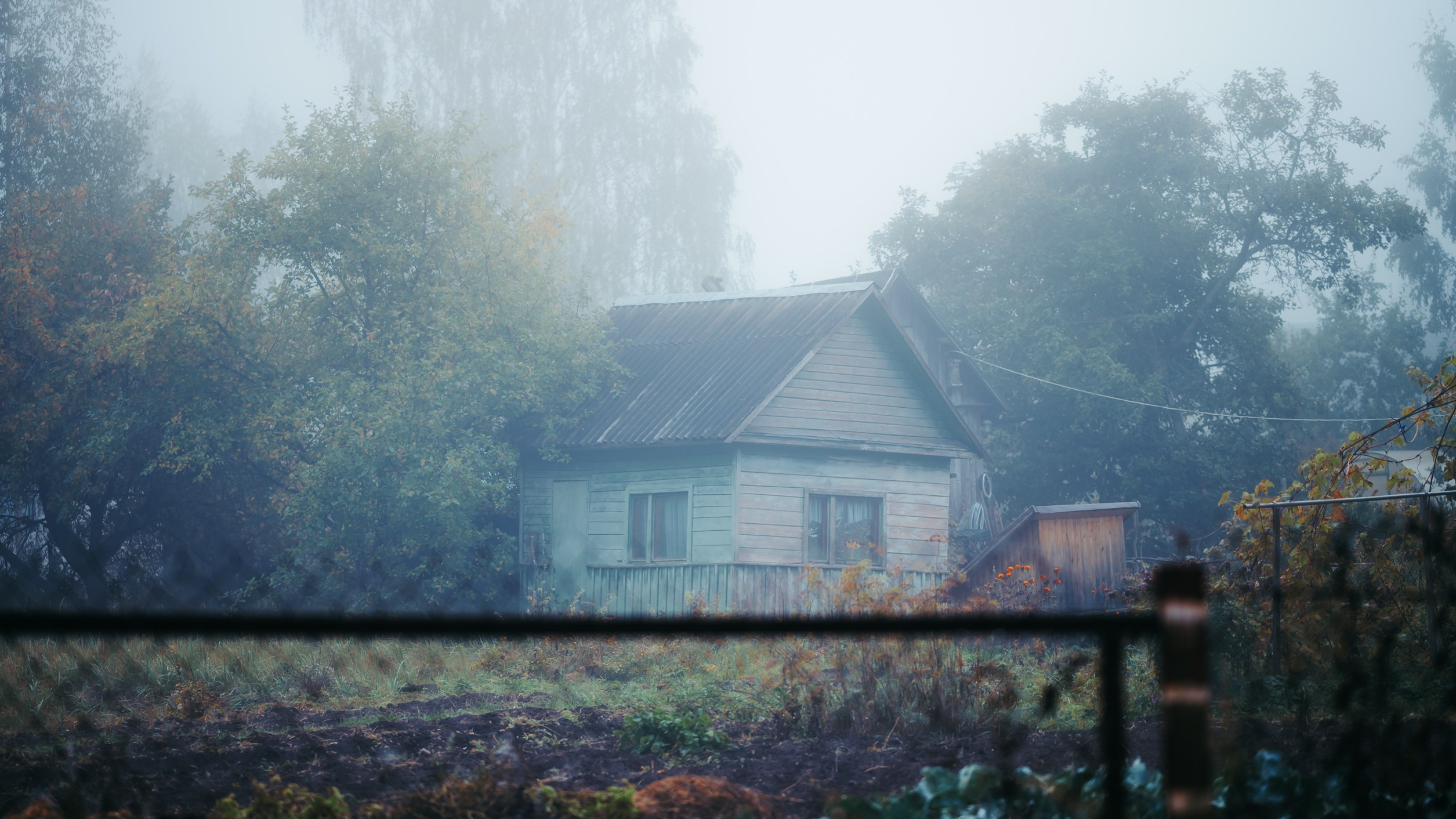 Туманное утро. Komonev