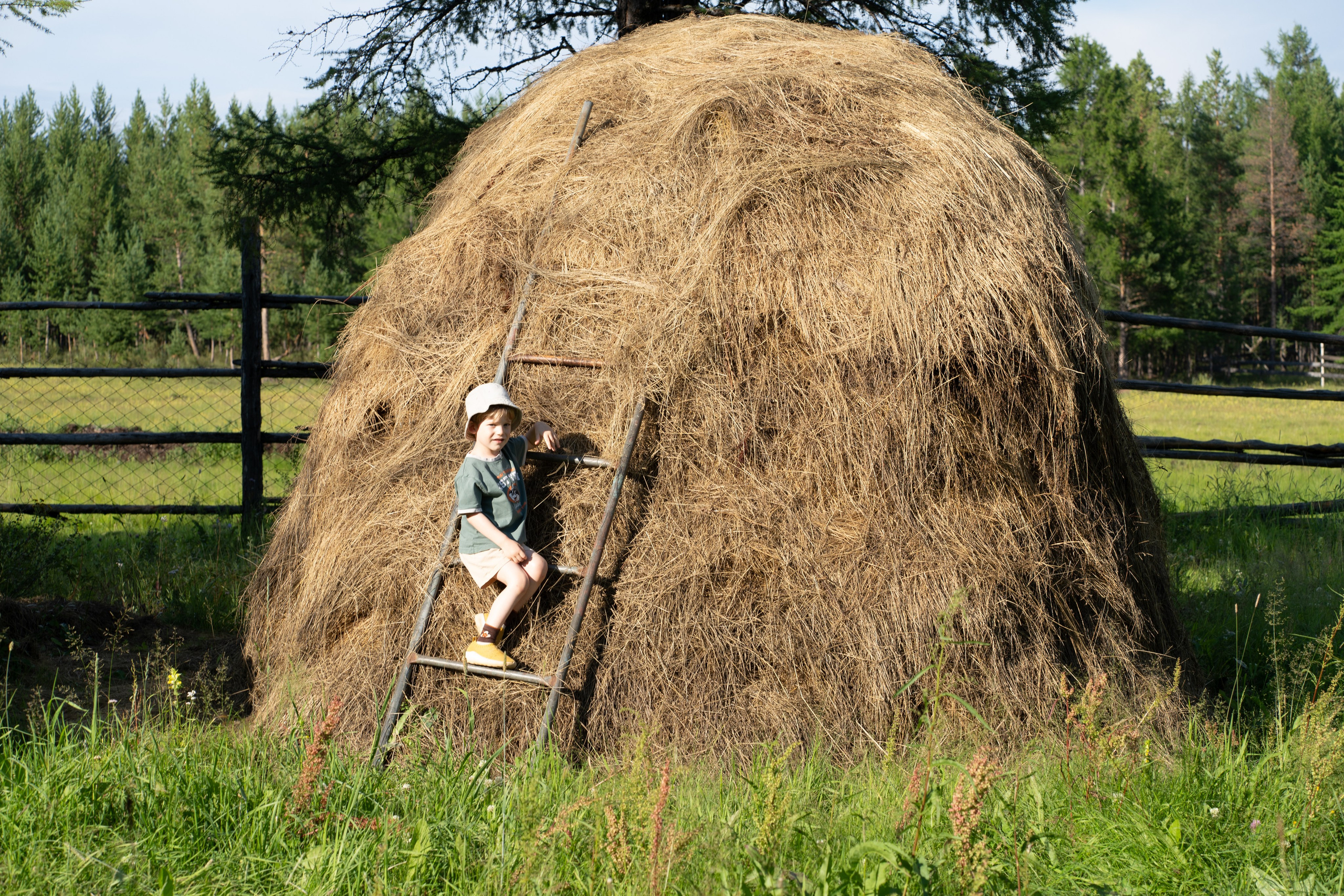 Прогулка. Алена Коломоец | Фотограф, Мирный, Якутия