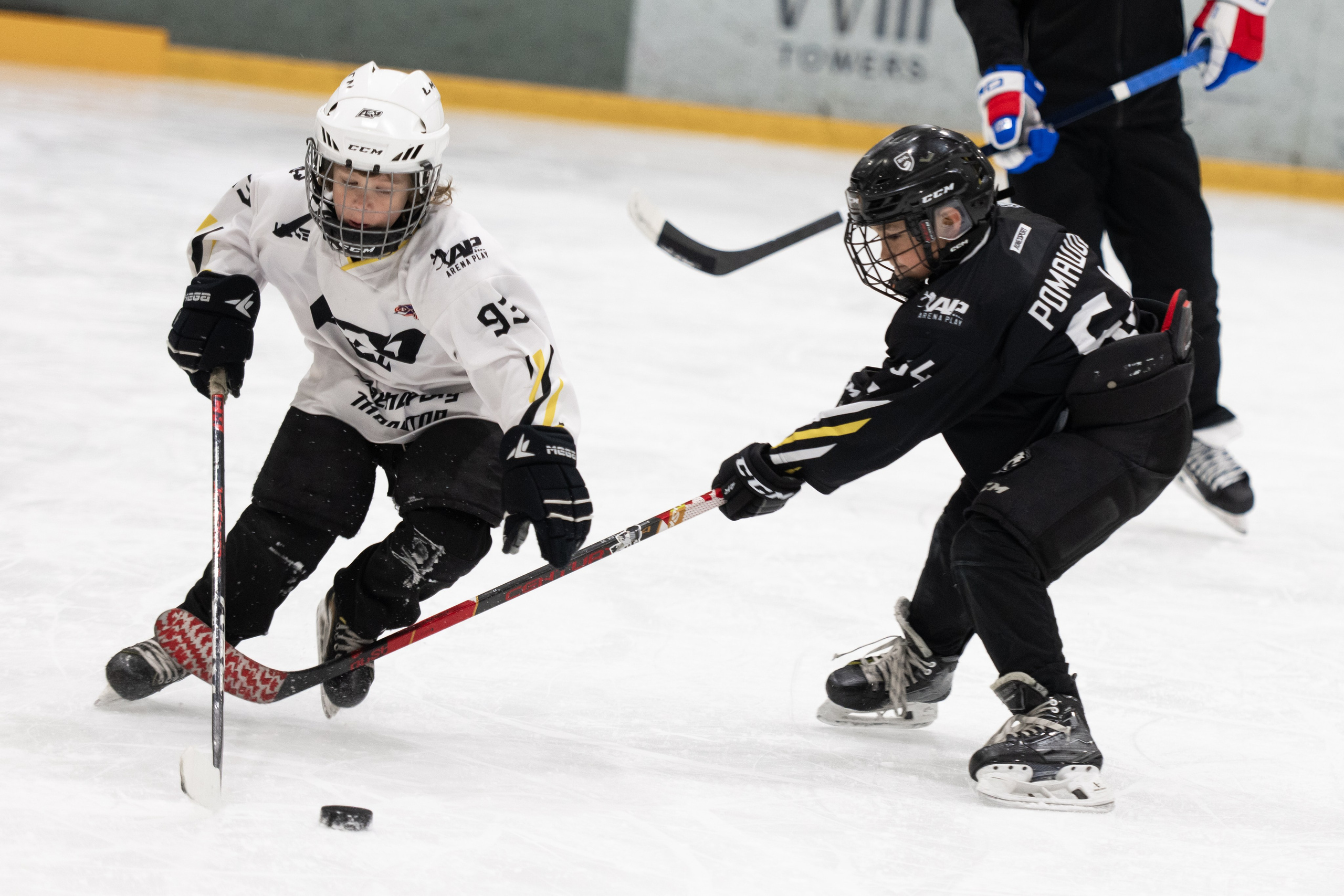 МК Артемия ПАНАРИНА. ДИНА МИХНЕВА спортивный фотограф Москва