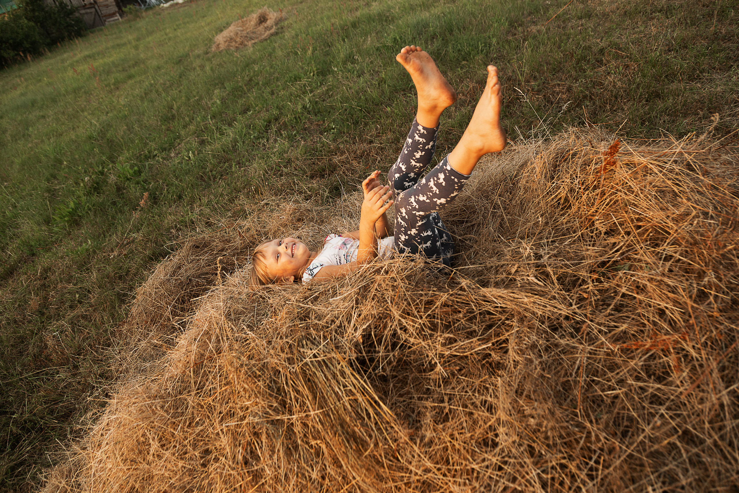 Семейная и Беременность. Свадебный фотограф