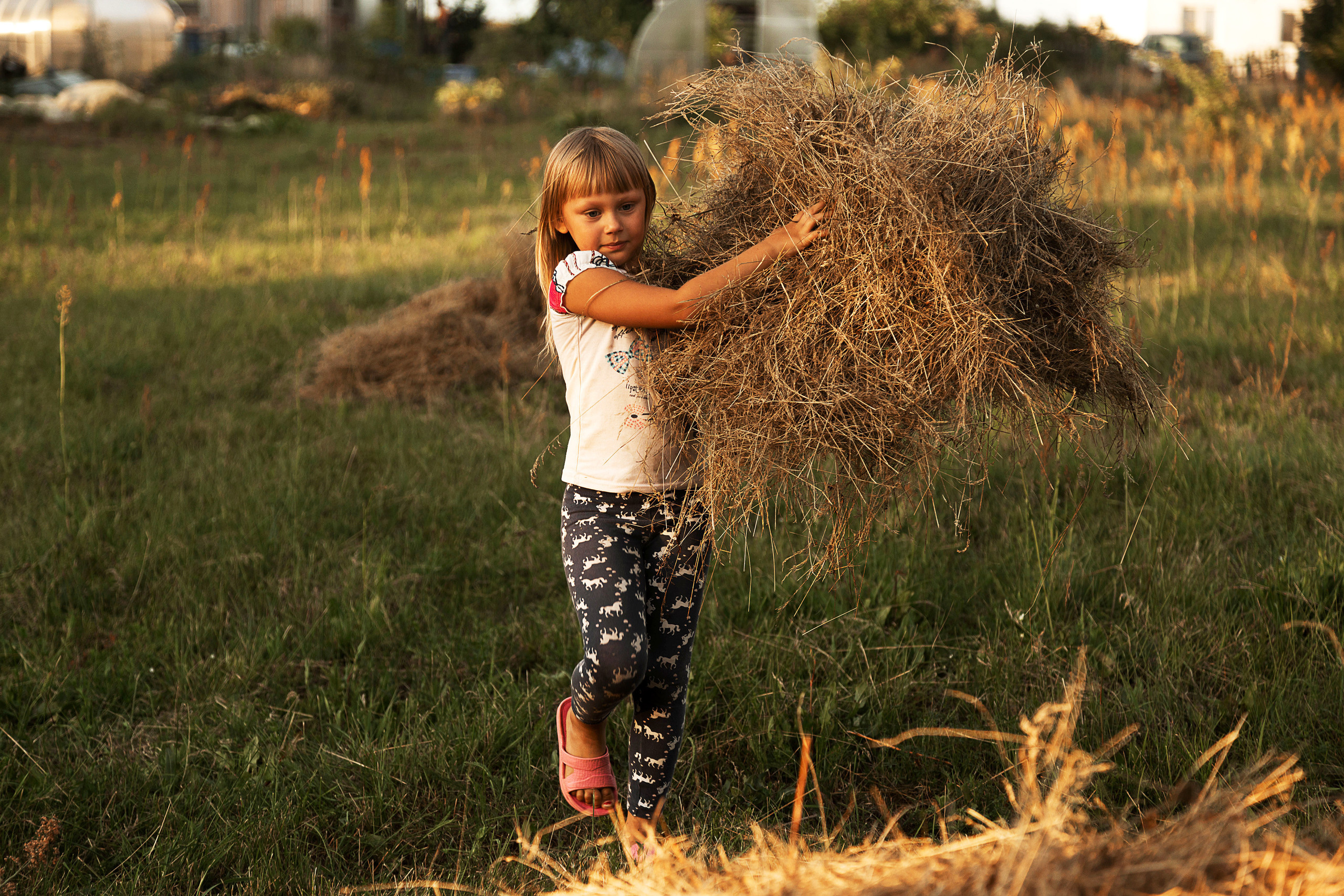 Семейная и Беременность. Свадебный фотограф