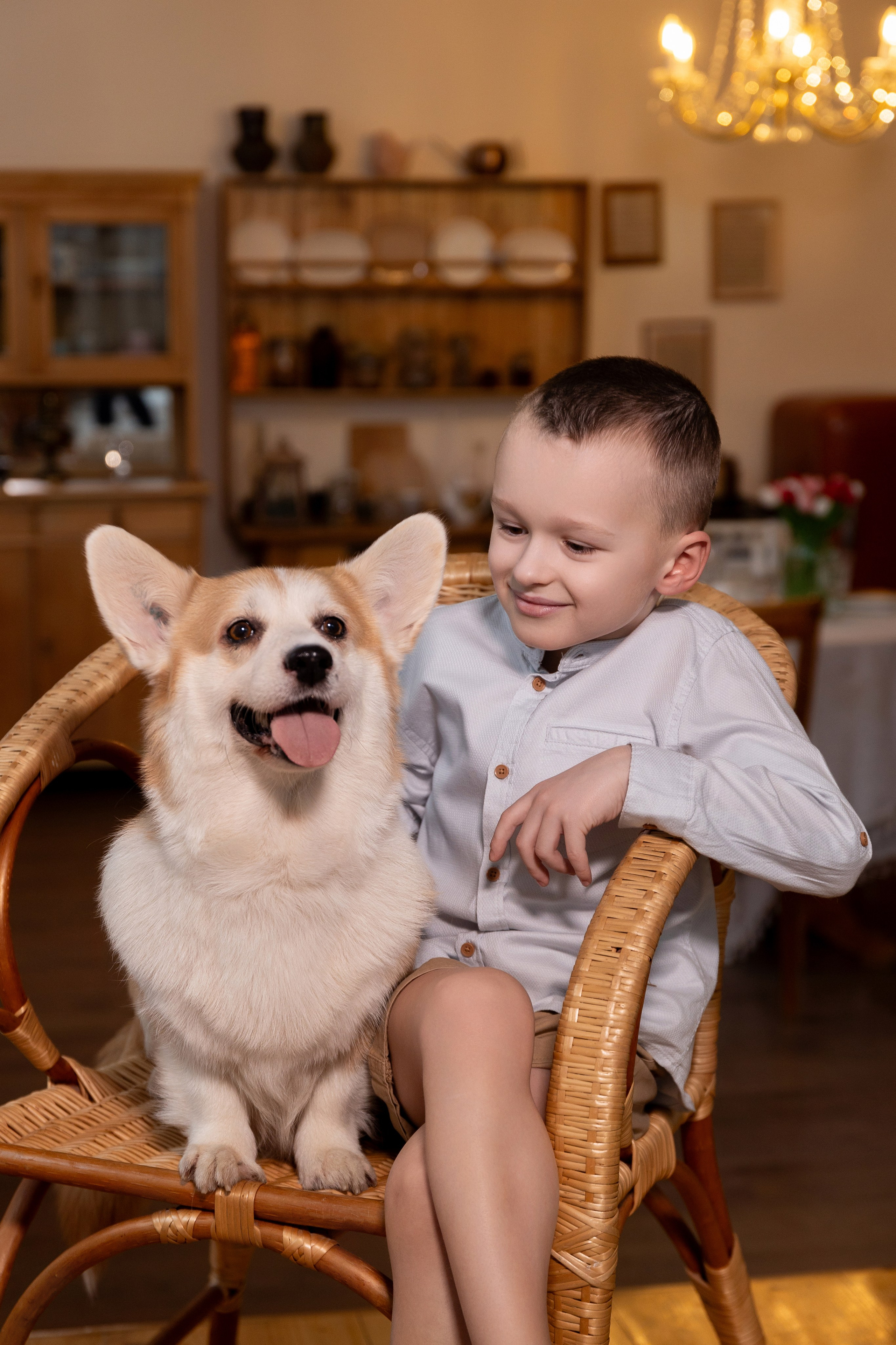 Фотосессия с корги. Семейный и свадебный фотограф в Санкт-Петербурге Татьяна Швыкова