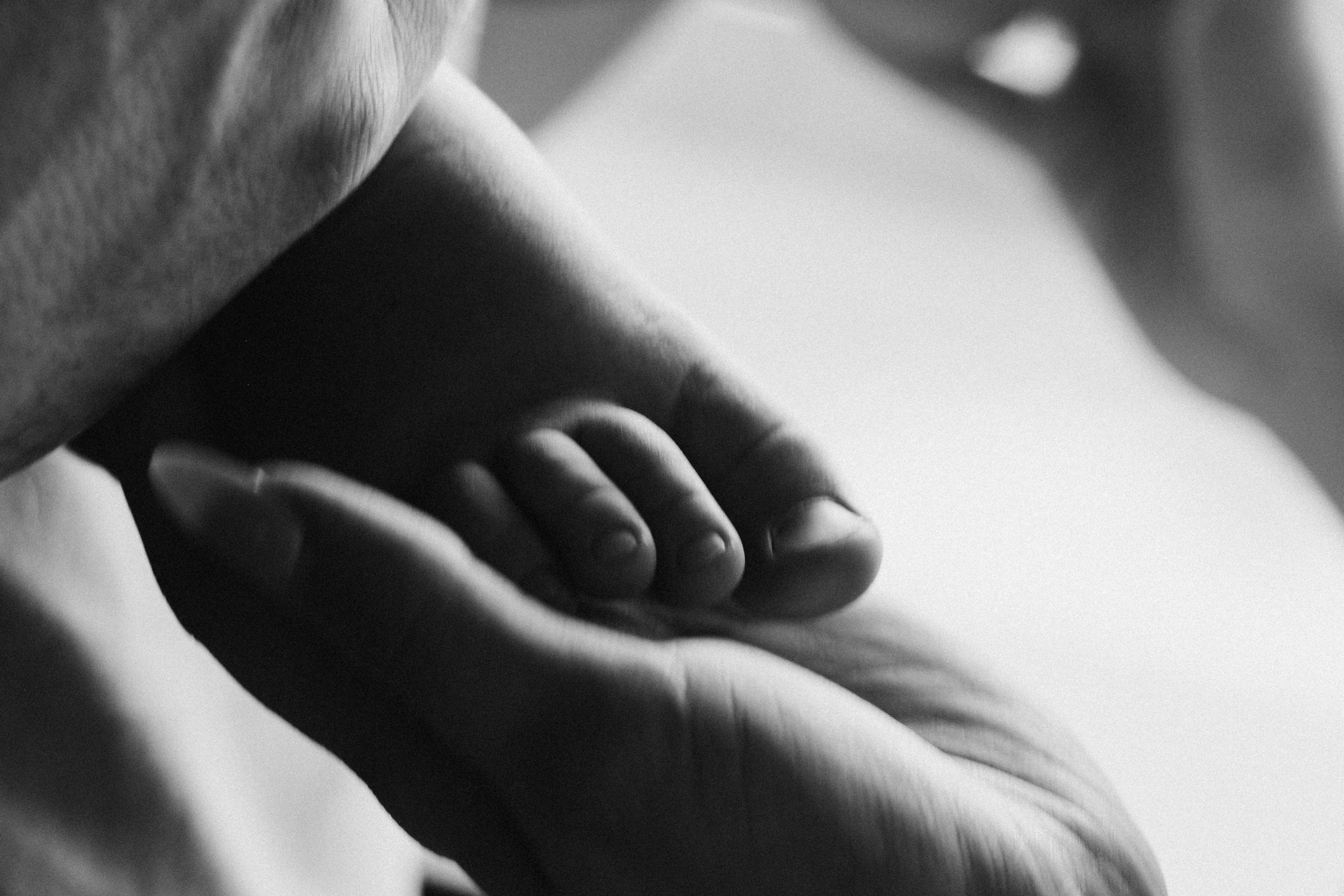 Макс Саша и Ярослав. Фотограф Астафьева Мария