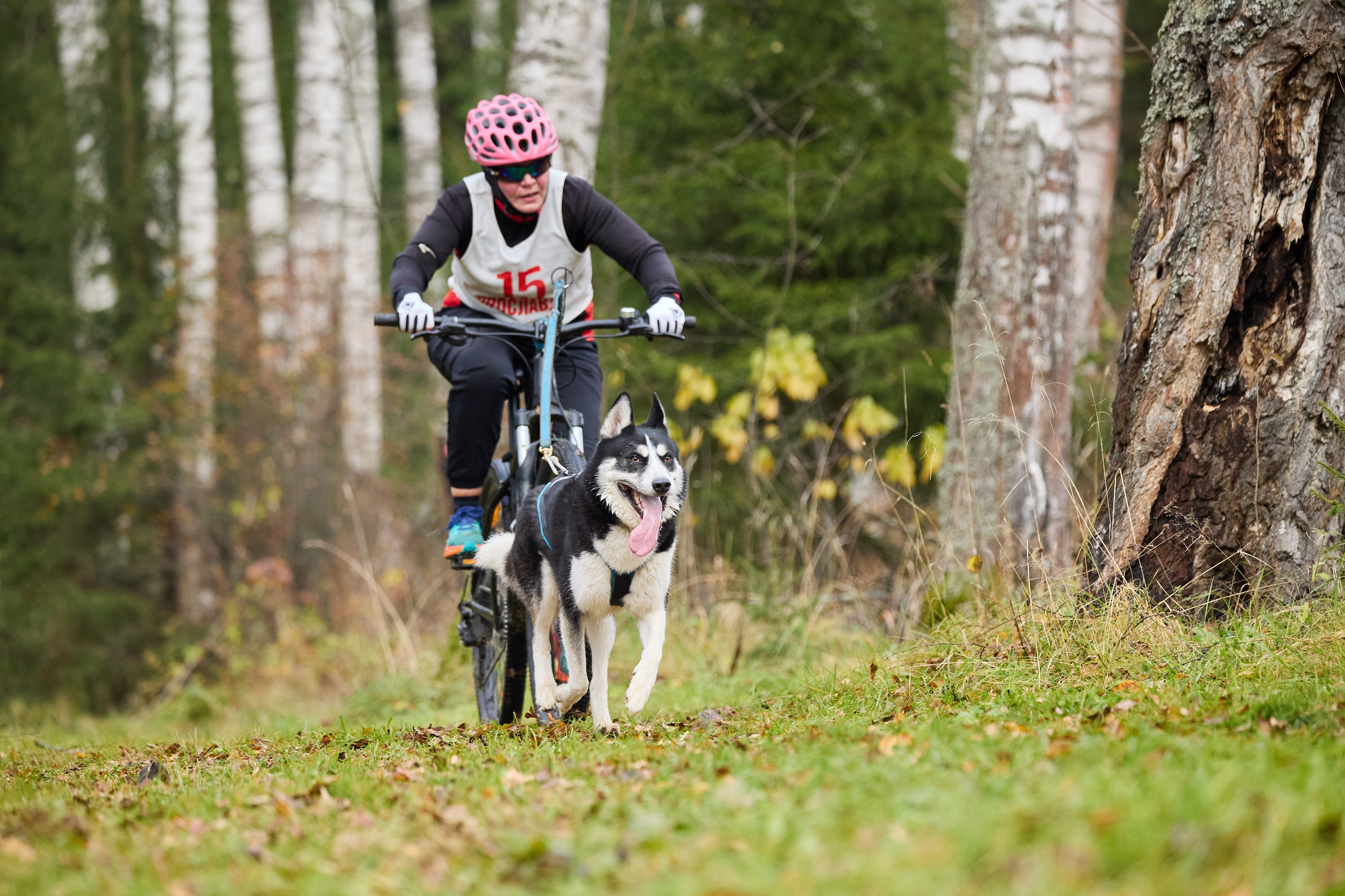 Чемпионат по ЕС Ярославской области. Фотограф Ирина Астор