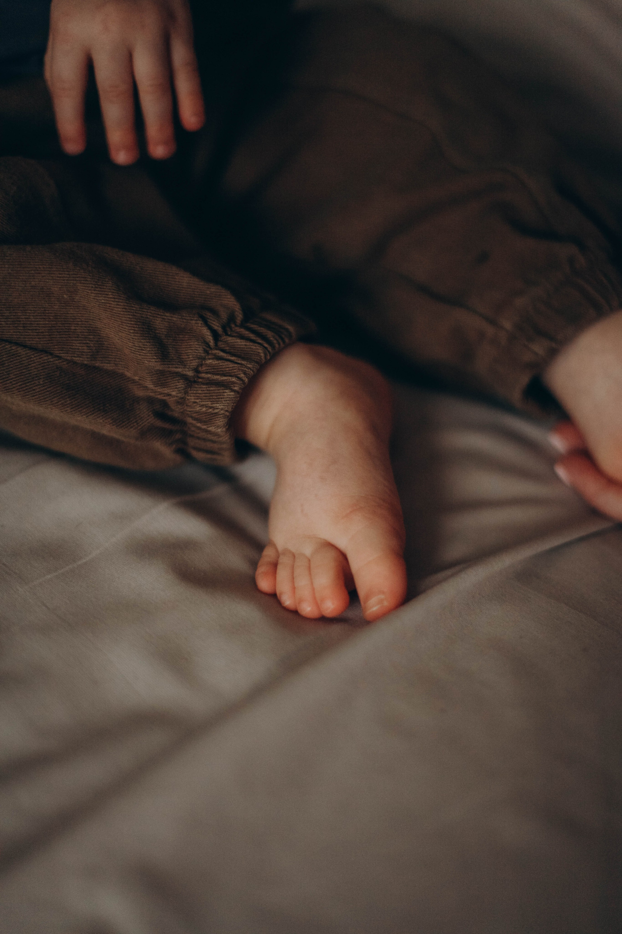 Daniel. Семейная фотография в Санкт-Петербурге Елизавета Шепель