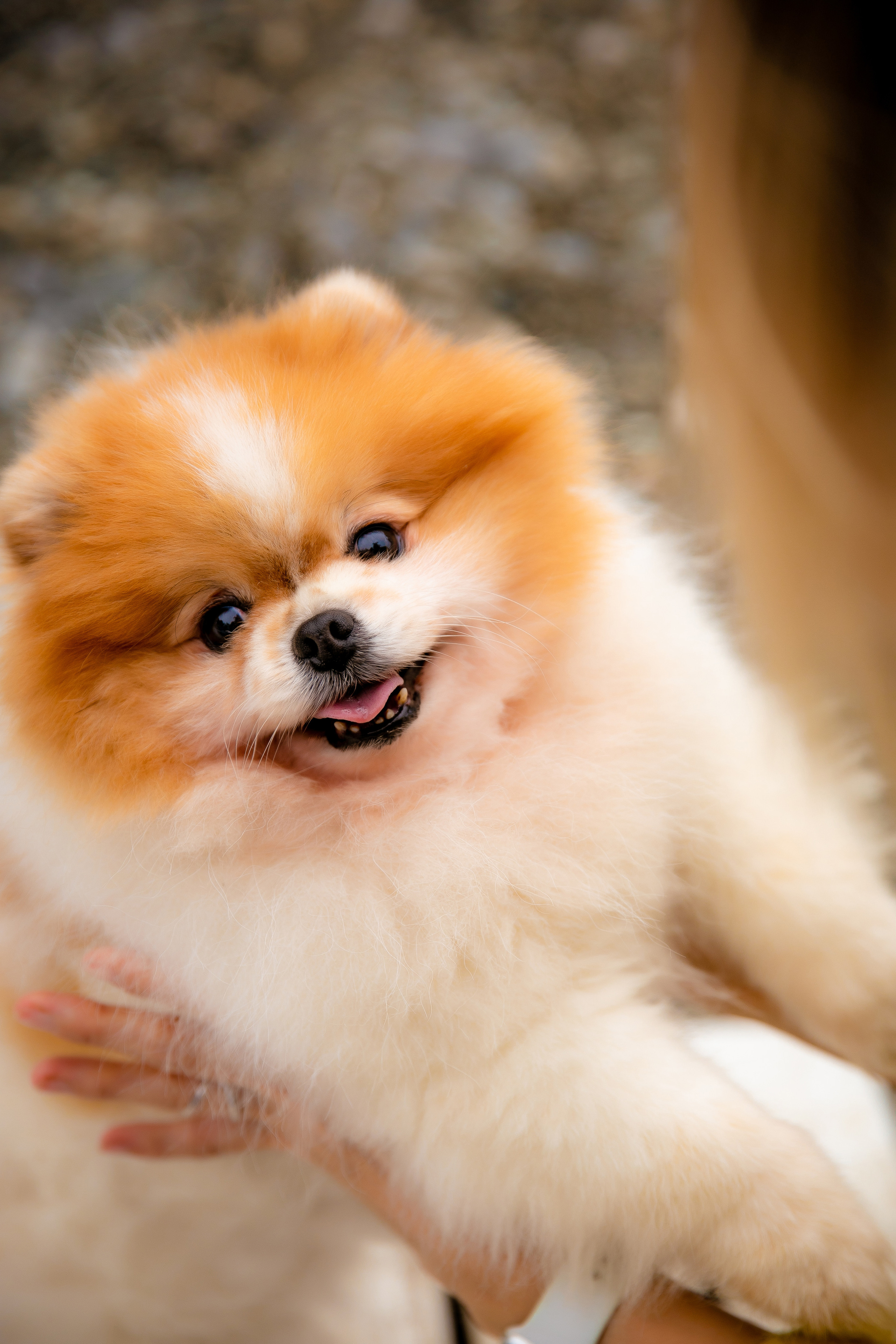 Мама и дочь. Семейный фотограф Якимова Полина в Сочи