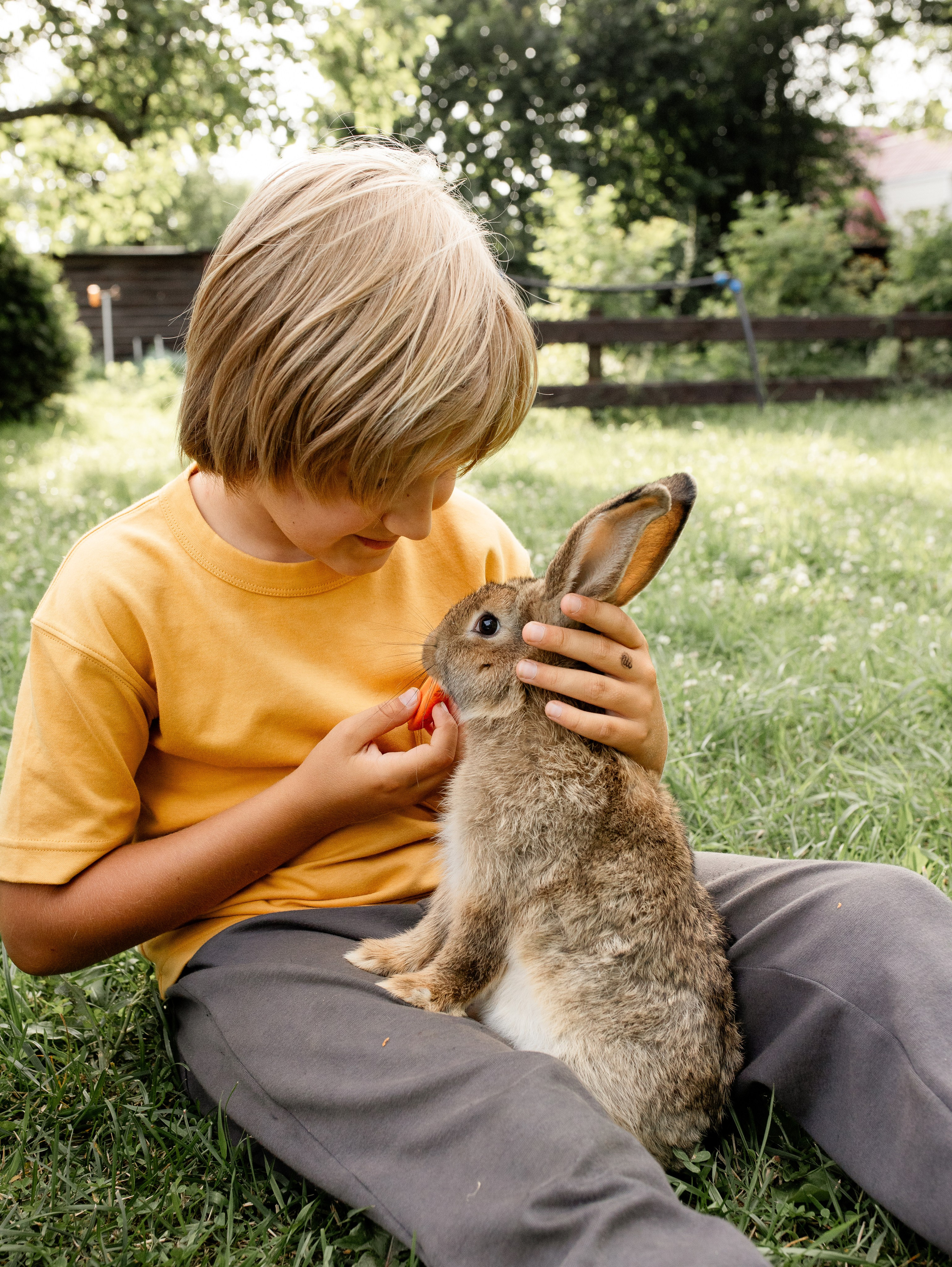 Кролики 2023. Семейный фотограф в Санкт-Петербурге Ирина Иванова