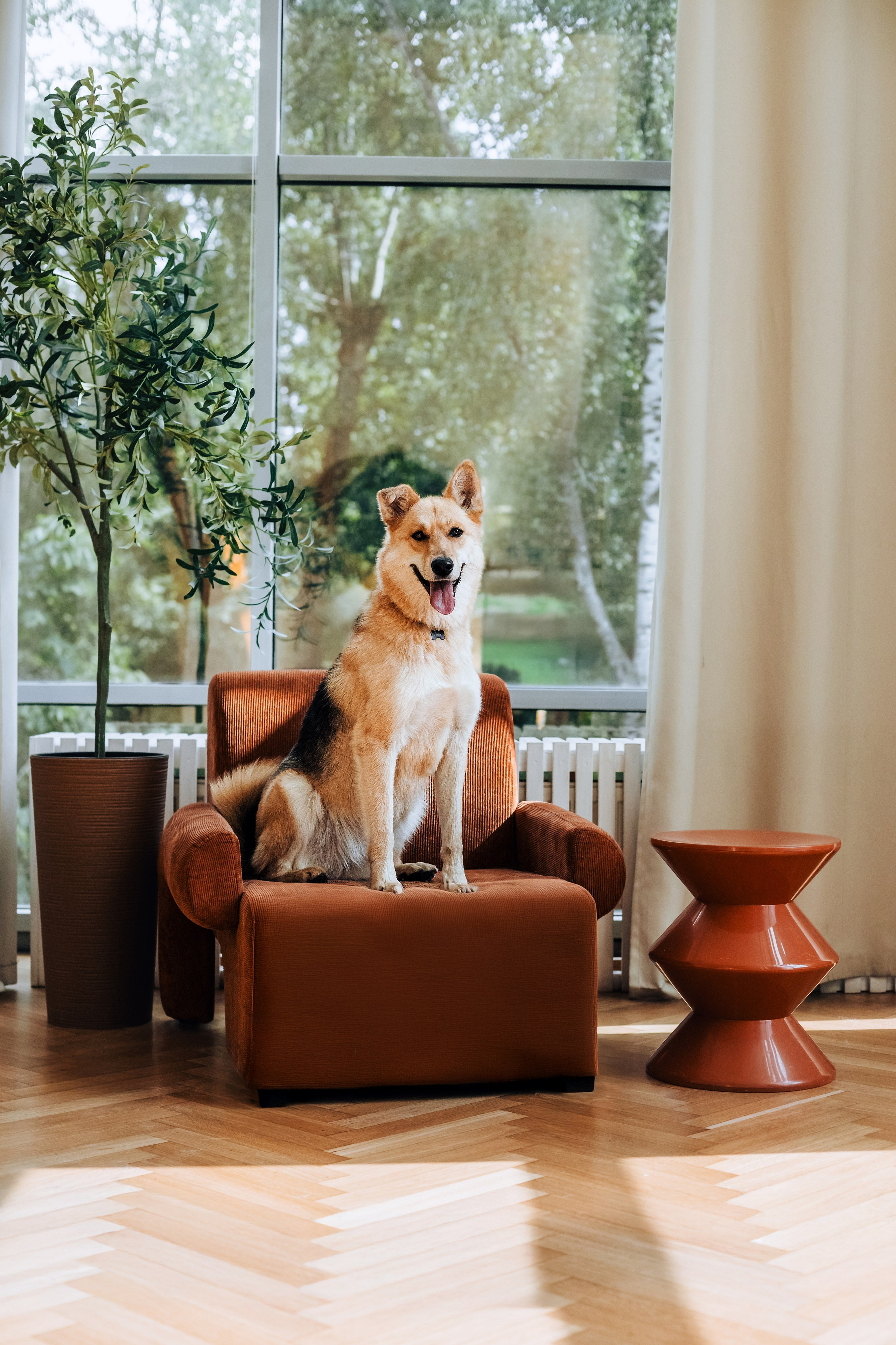 Студия лето 2025. Фотограф-анималист Татьяна Степанова