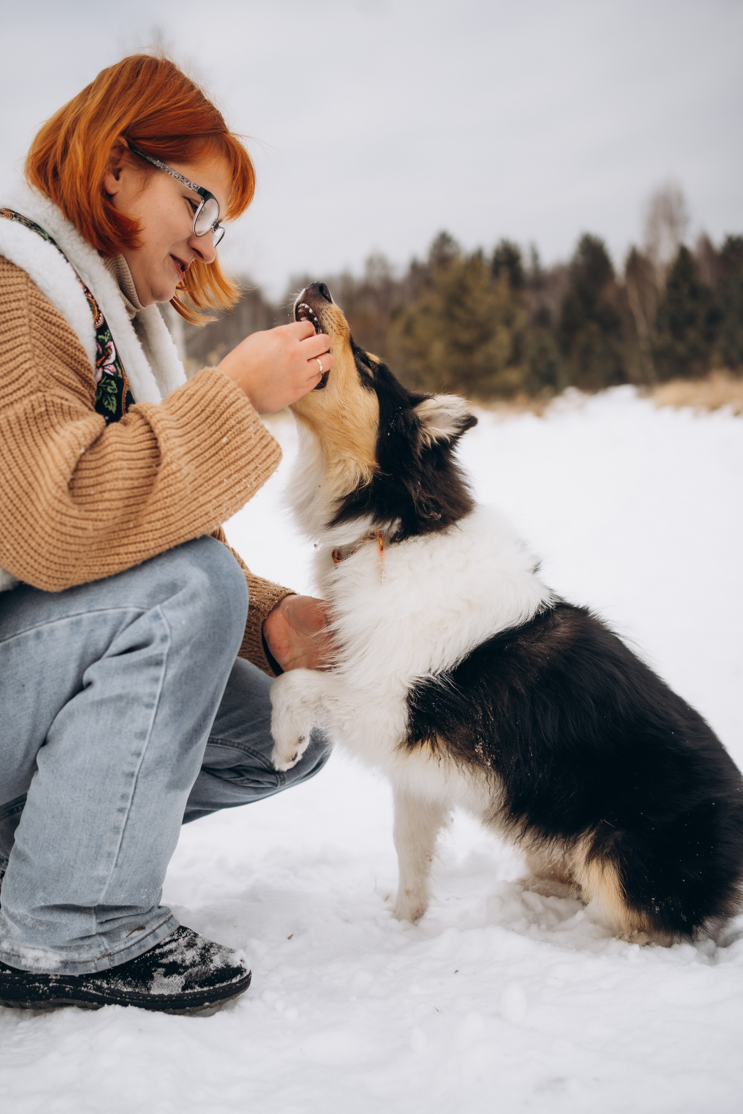 Альма. Фотограф-анималист Анастасия Большакова