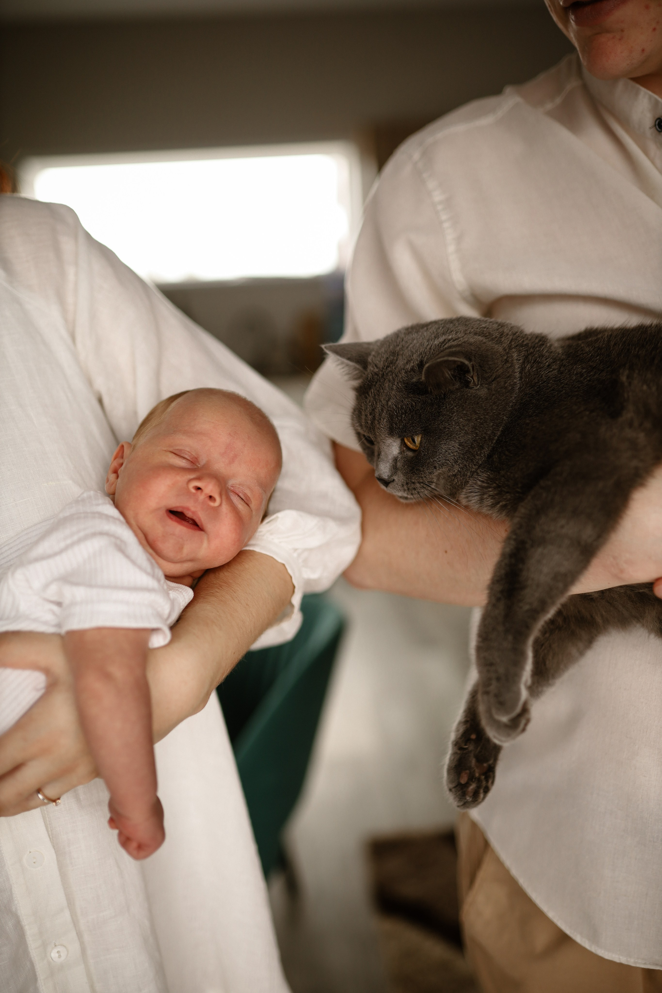 Алена, Илья и Арсений. Инна Вильт| лайфстайл фотограф из Новосибирска