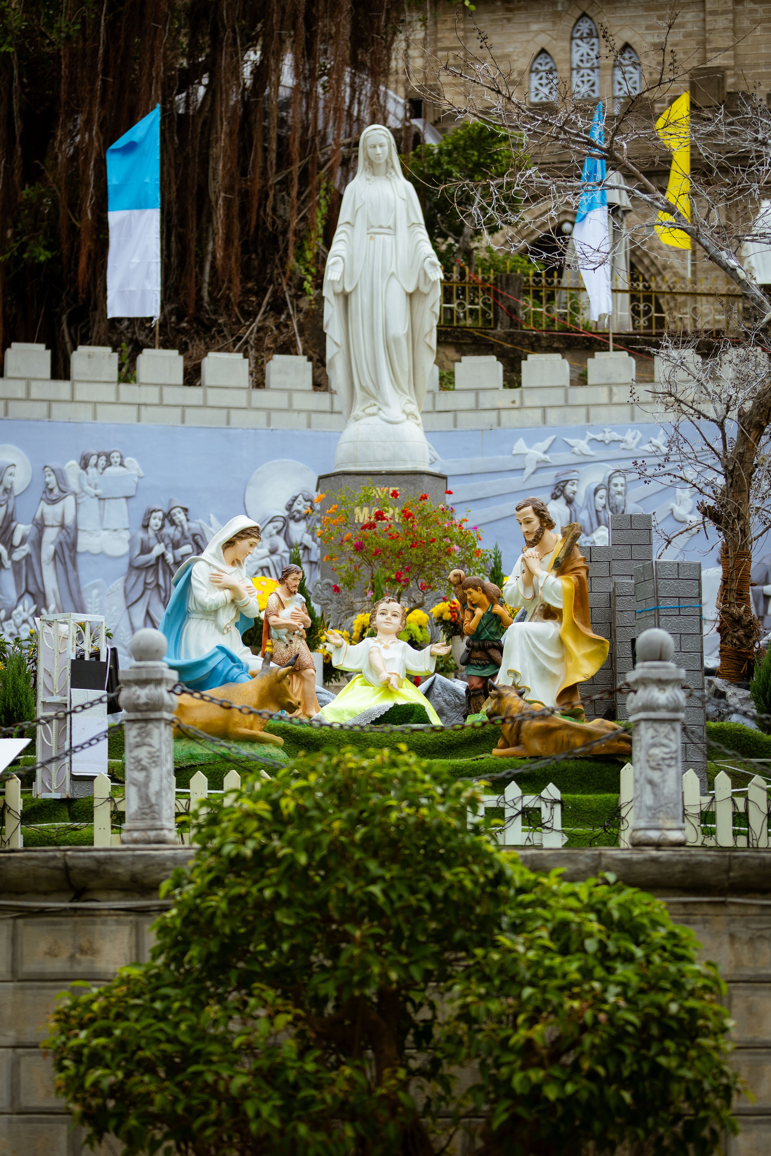 Вьетнам (зима 2025-2026). Фотограф Виноградов Константин