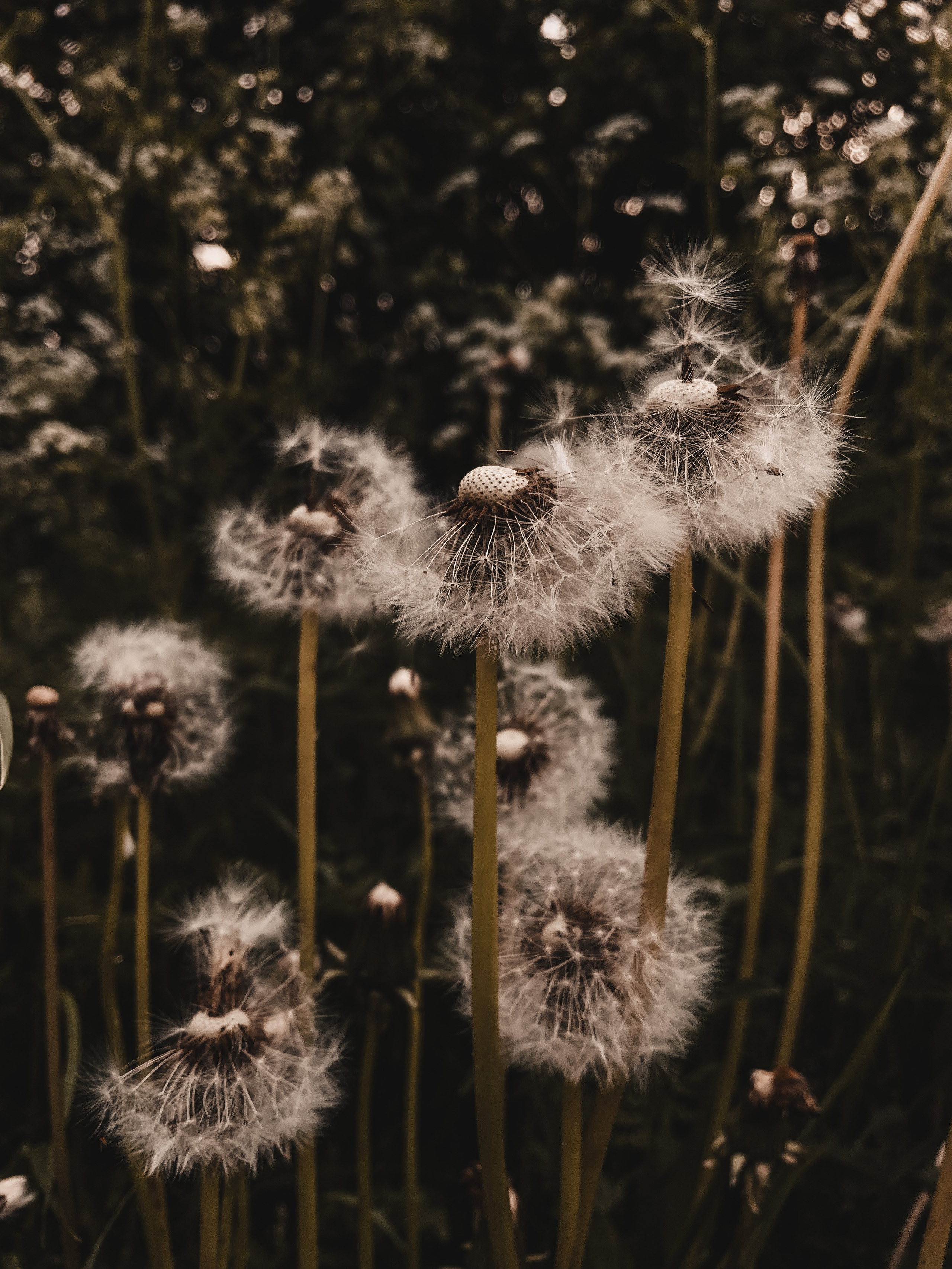 Пейзаж. Фотограф Олеся Шипихина г. Москва