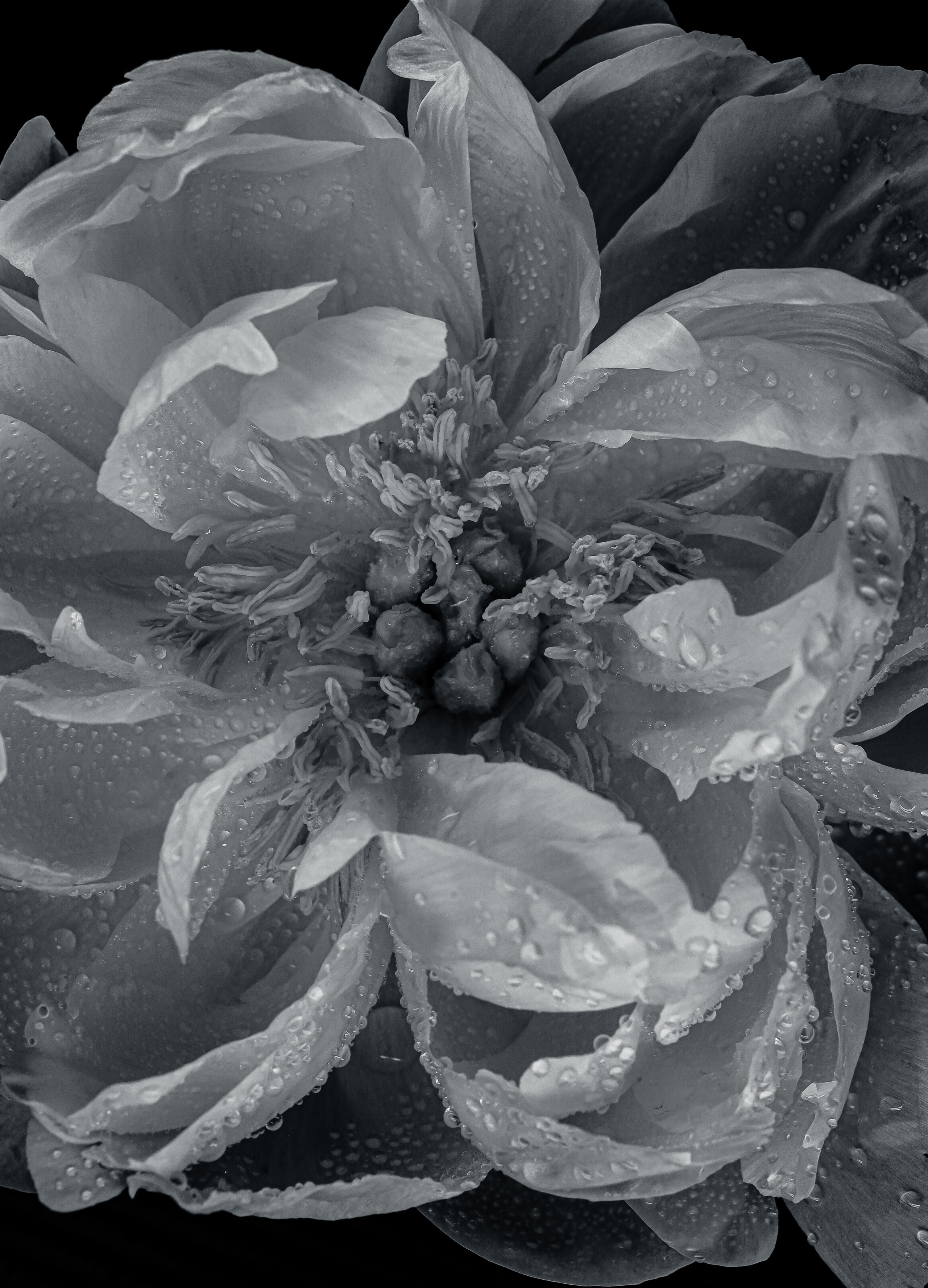 Природа &. Фотохудожник в СПб