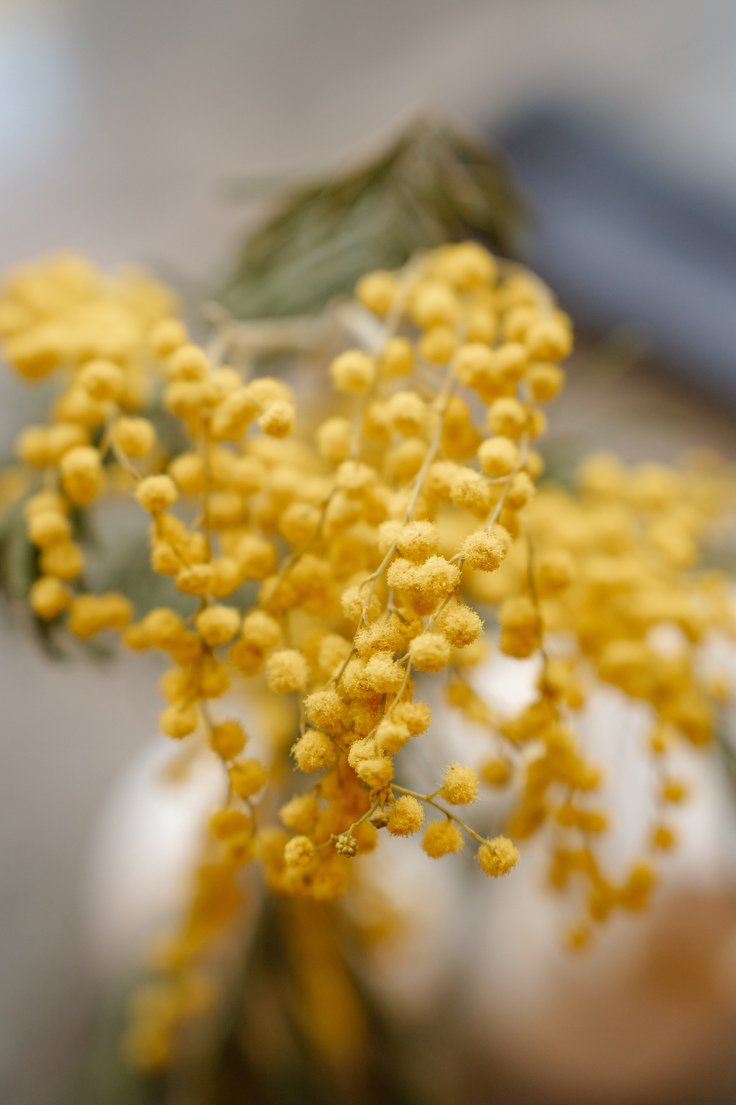 Репортаж. Фотограф в Екатеринбурге