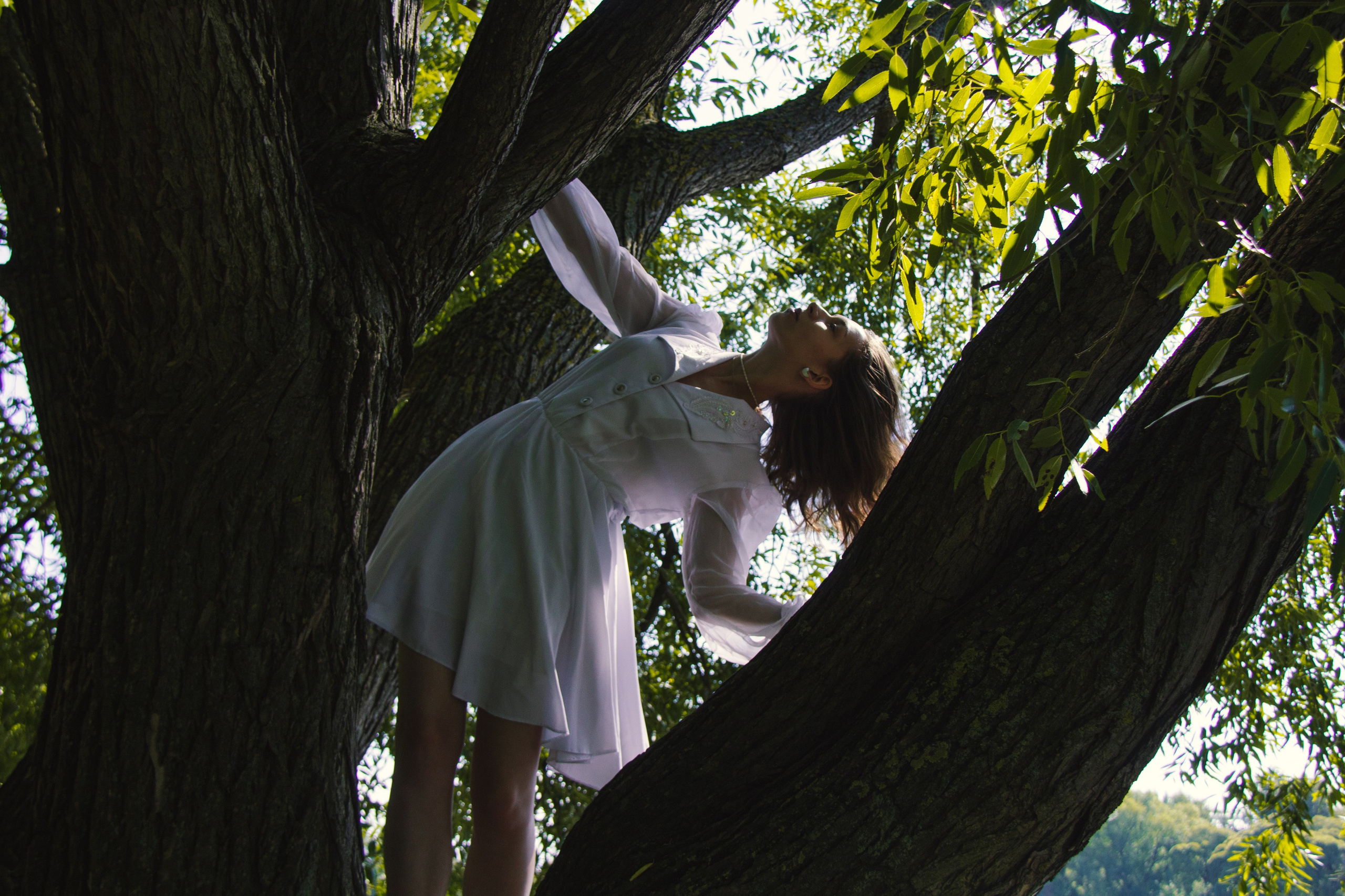 Шелест листвы. Софа. Janie valde |photographer & visual artist