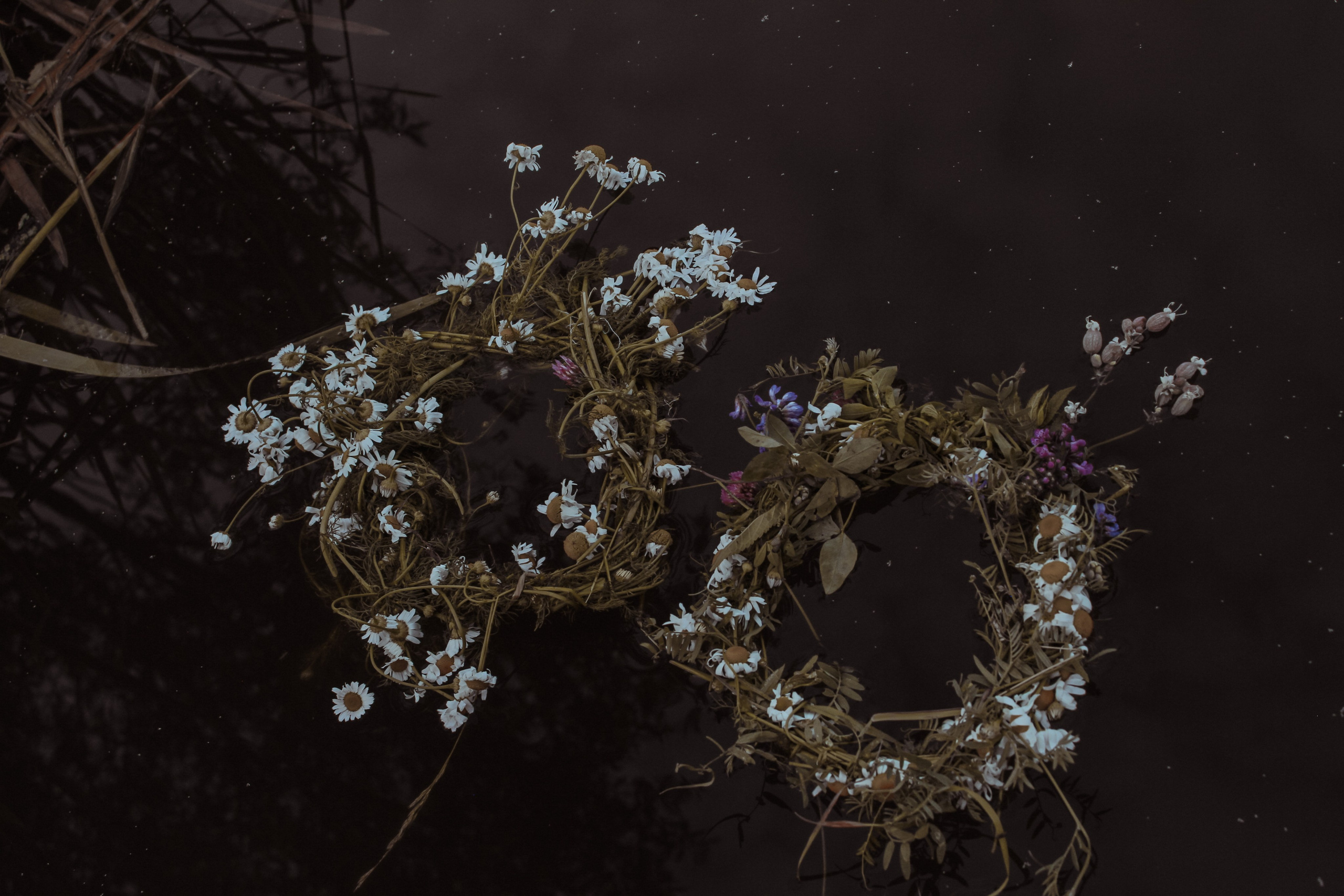 Алёна и Лёша. Лиза Рязанцева