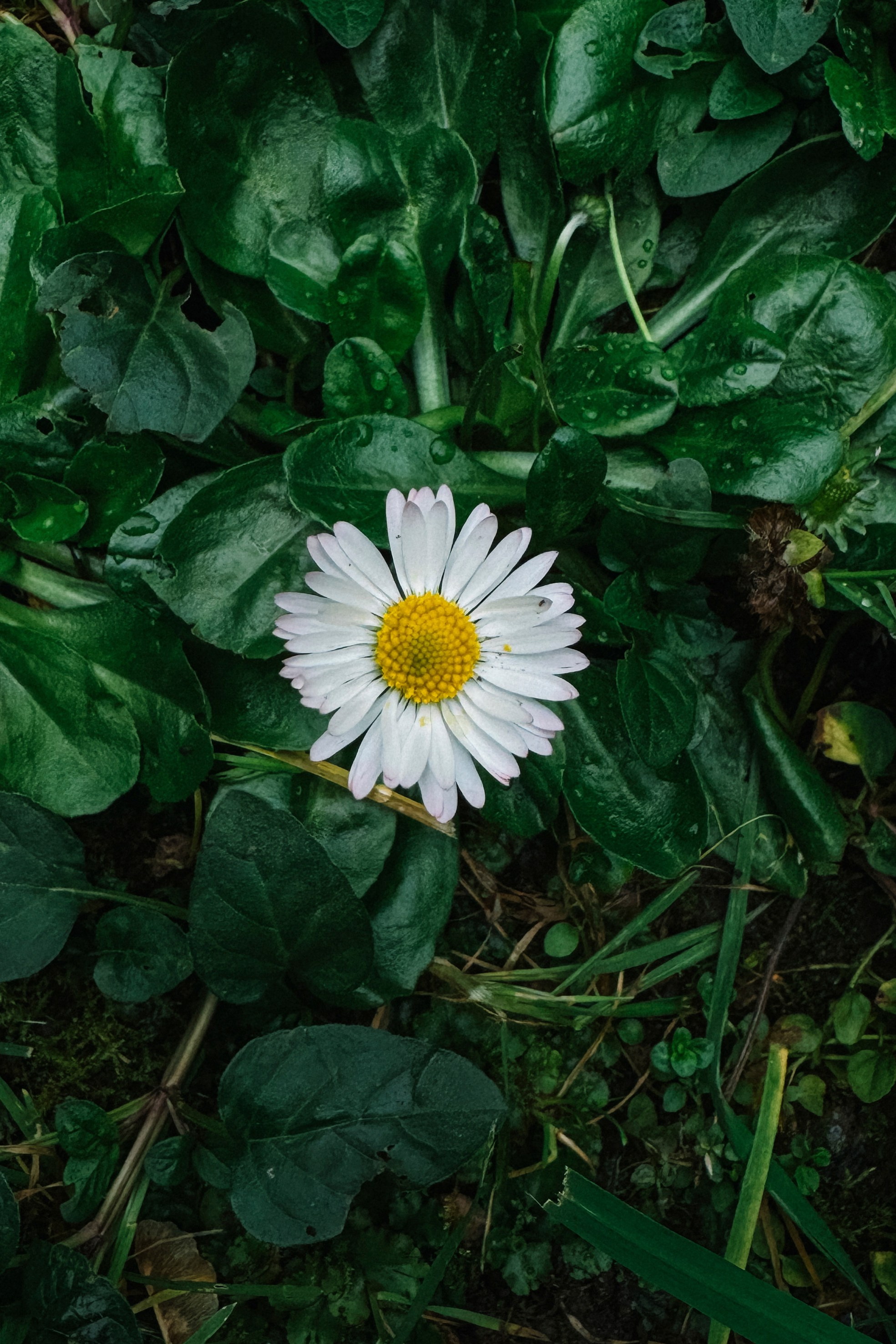 Природа. Команда фотографов Кристины Ивановой