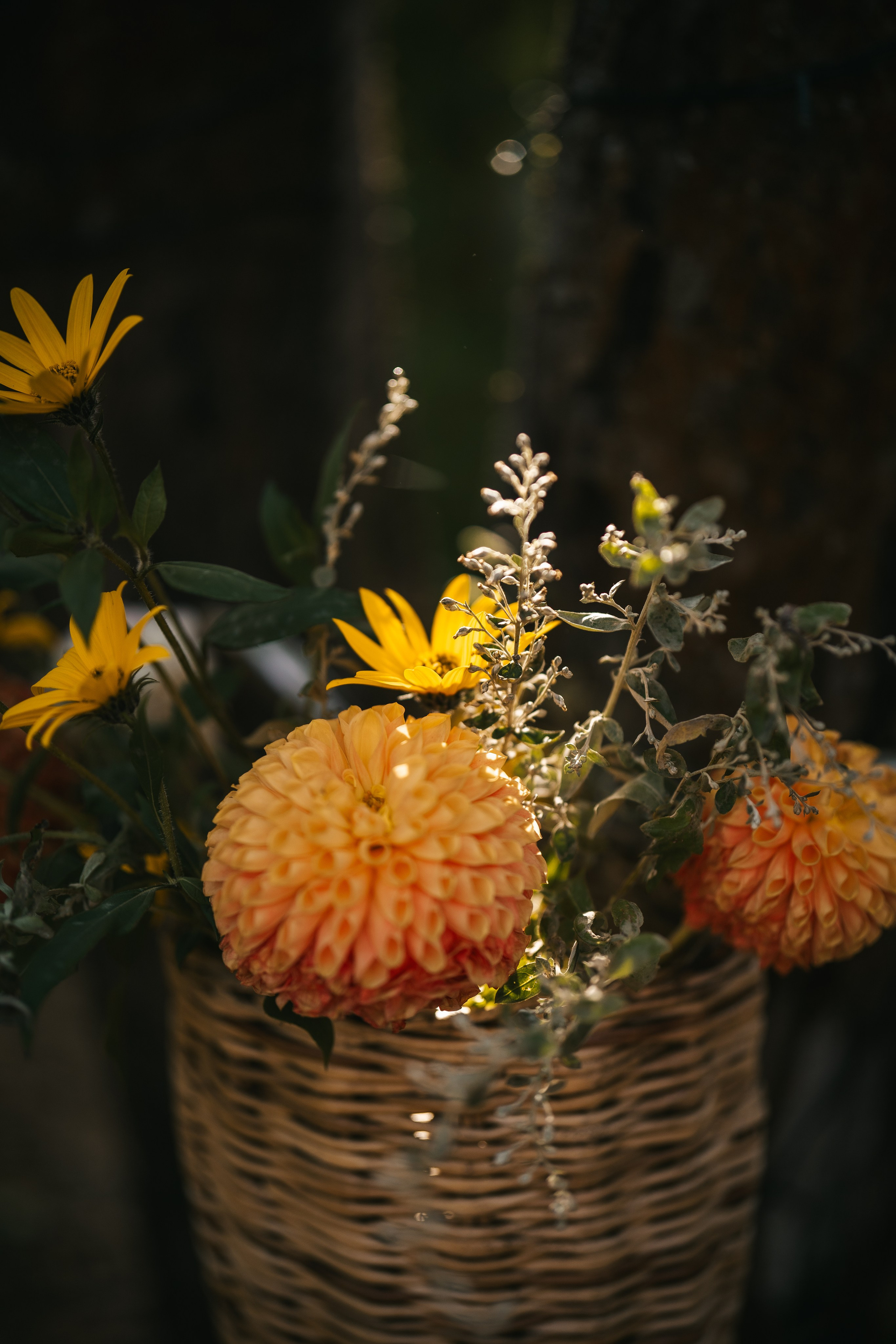 Дарья Дом Элли г. Пушкино. Семейный и детский фотограф в Сергиев Посаде, Хотьково Якимчук Любовь