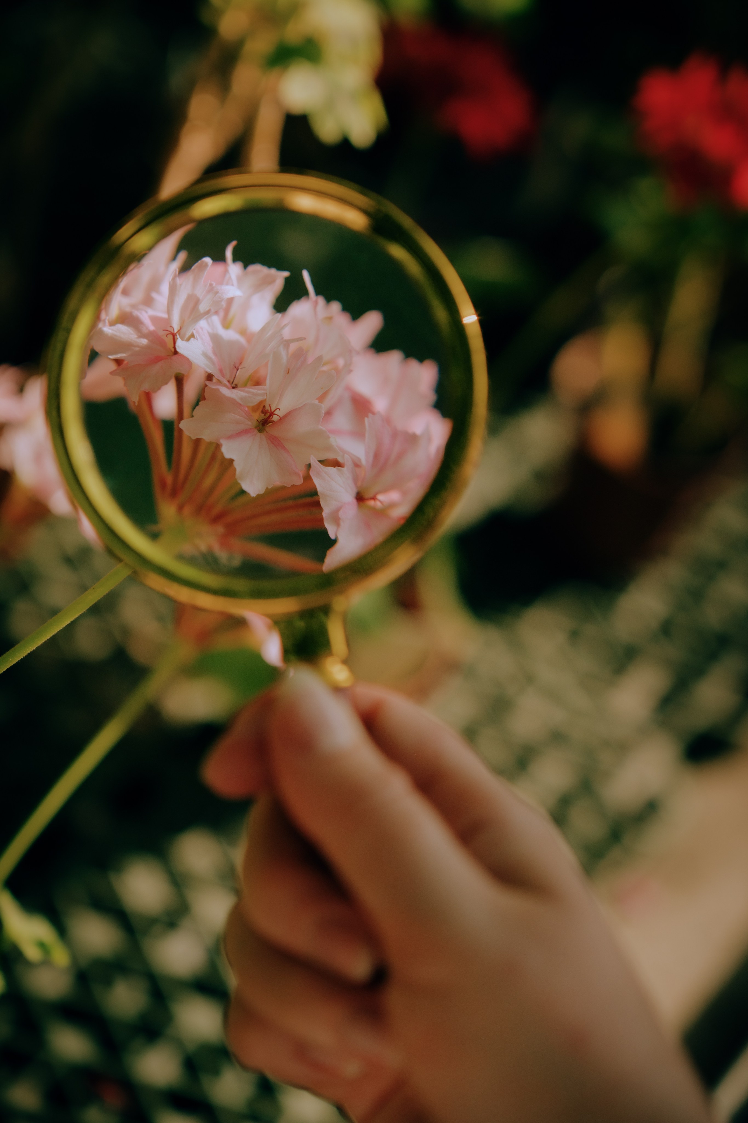 Женский портрет. Кошенкова Мария: портретный и репортажный фотограф. Санкт-Петербург
