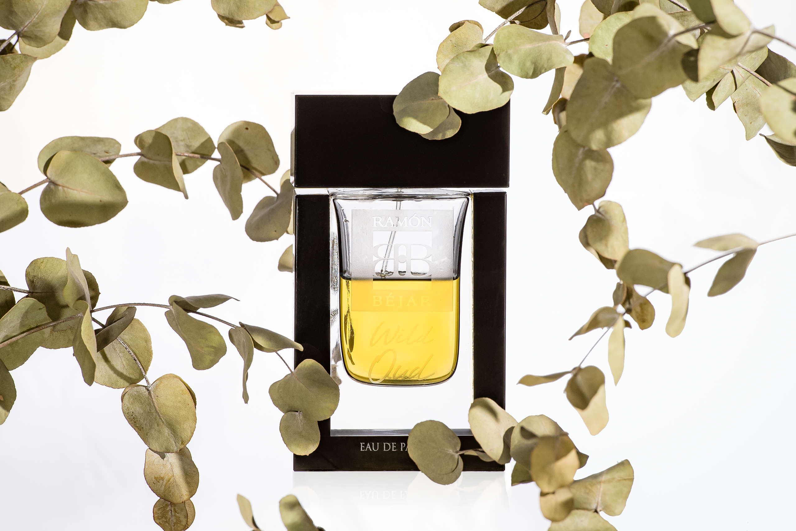 Имиджевая съёмка. Коммерческий фотограф в Москве Билуши Василиса