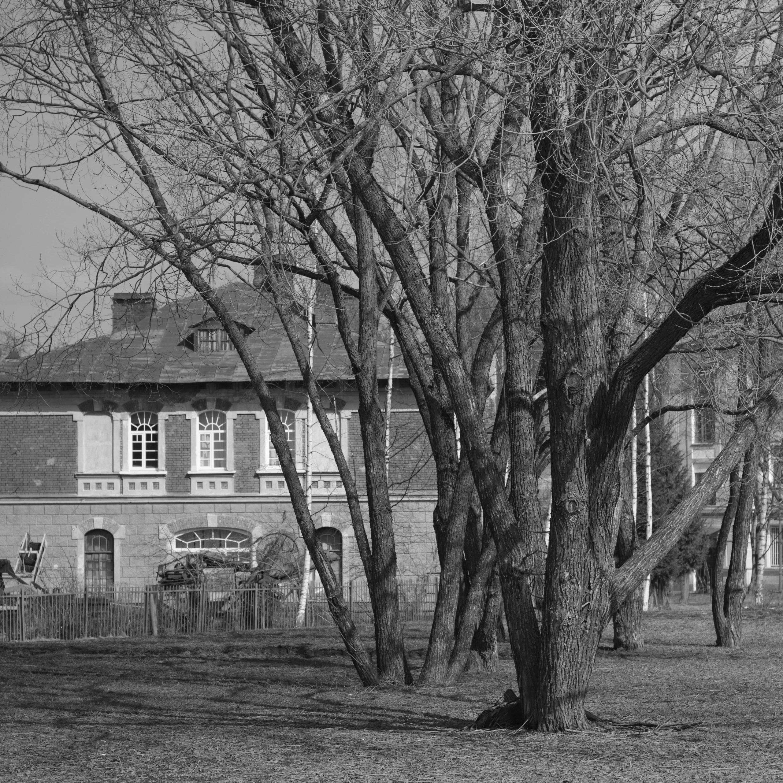 Tsarskoe Selo. Фотограф и исследователь фотографии из Санкт-Петербурга Елизавета Веприцкая