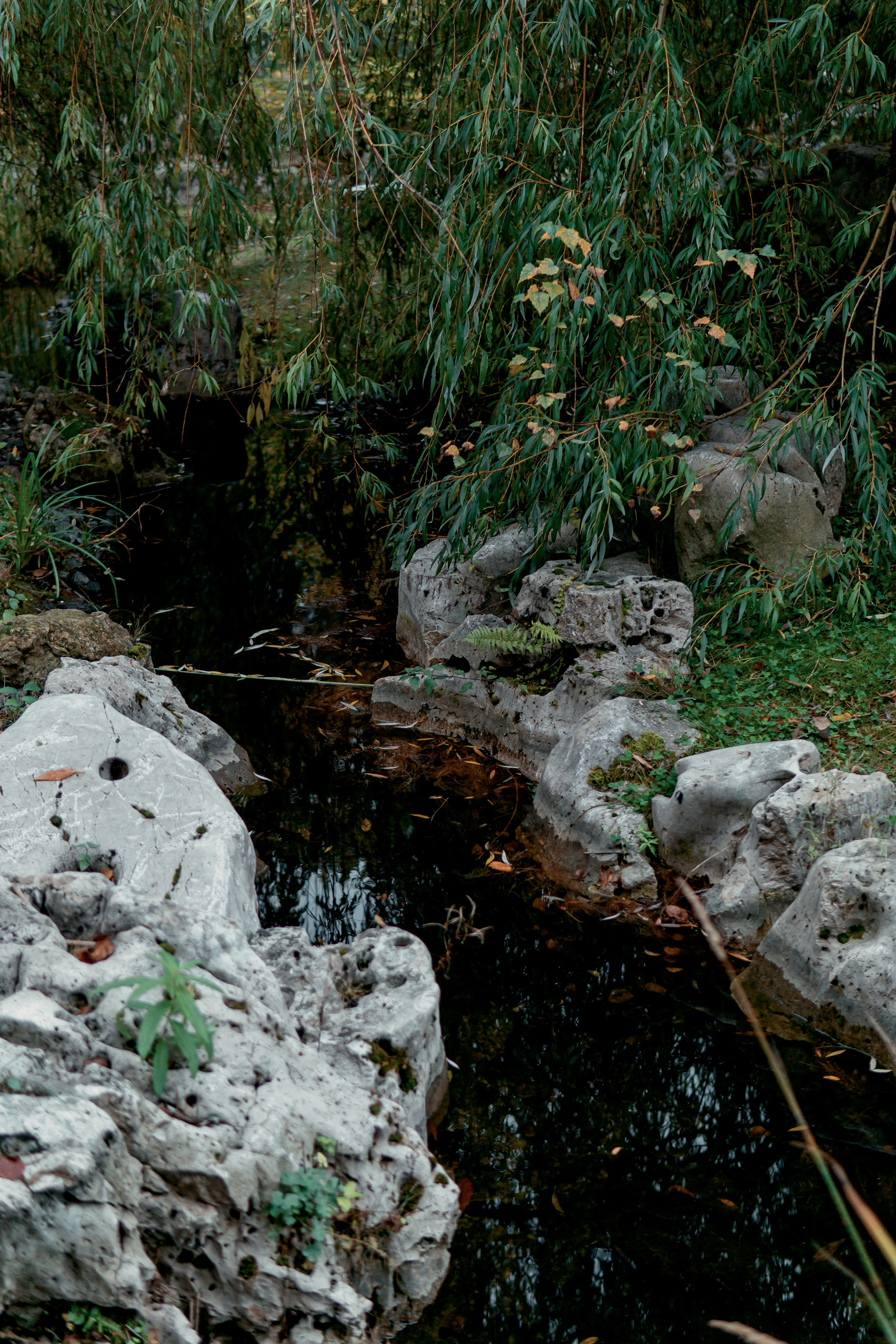 Китайский сад Хуамин. Алексей Никифоров свадебный и семейный фотограф Москва, Химки