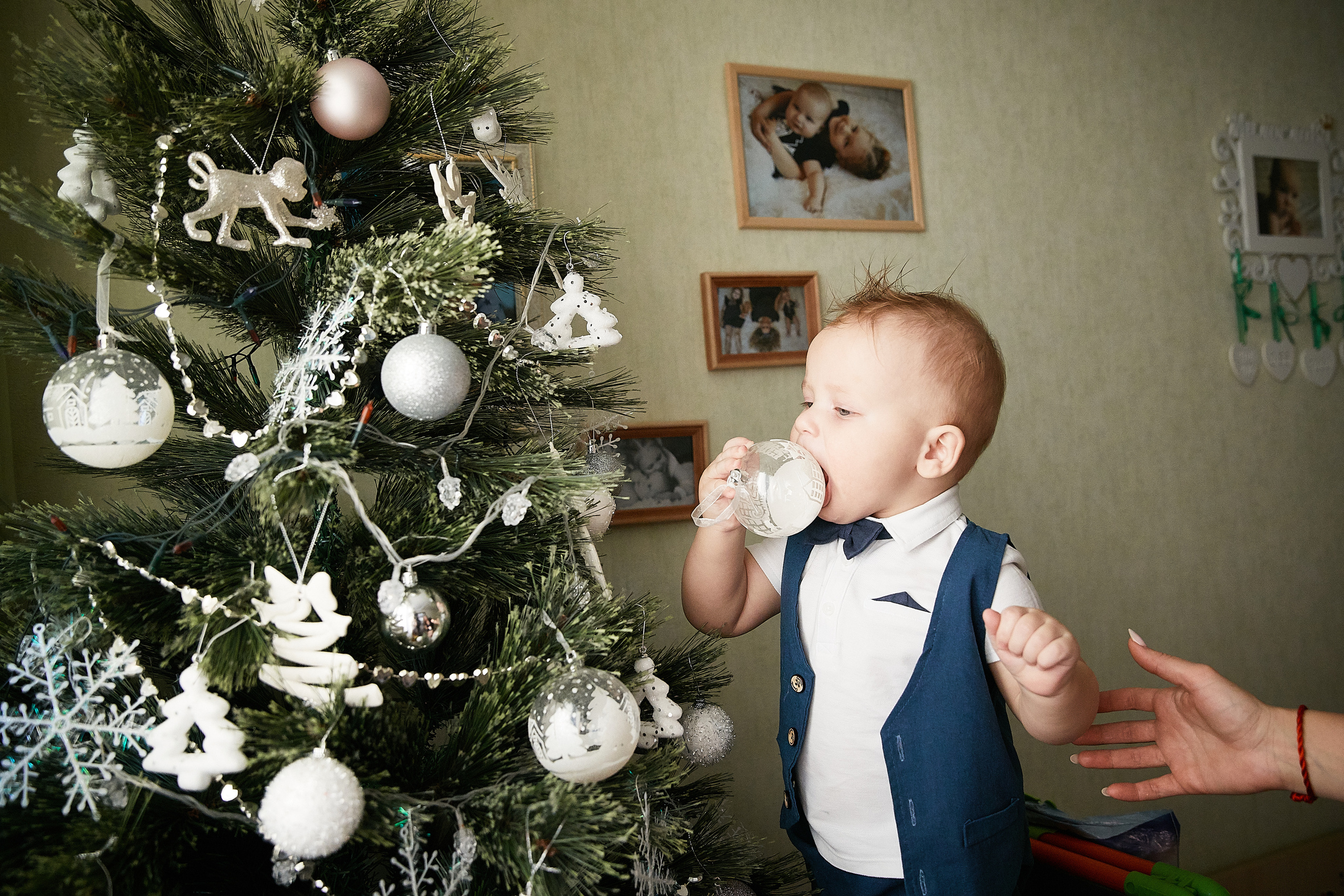 Новогодние съёмки. Татьяна Бабаева — Фотограф