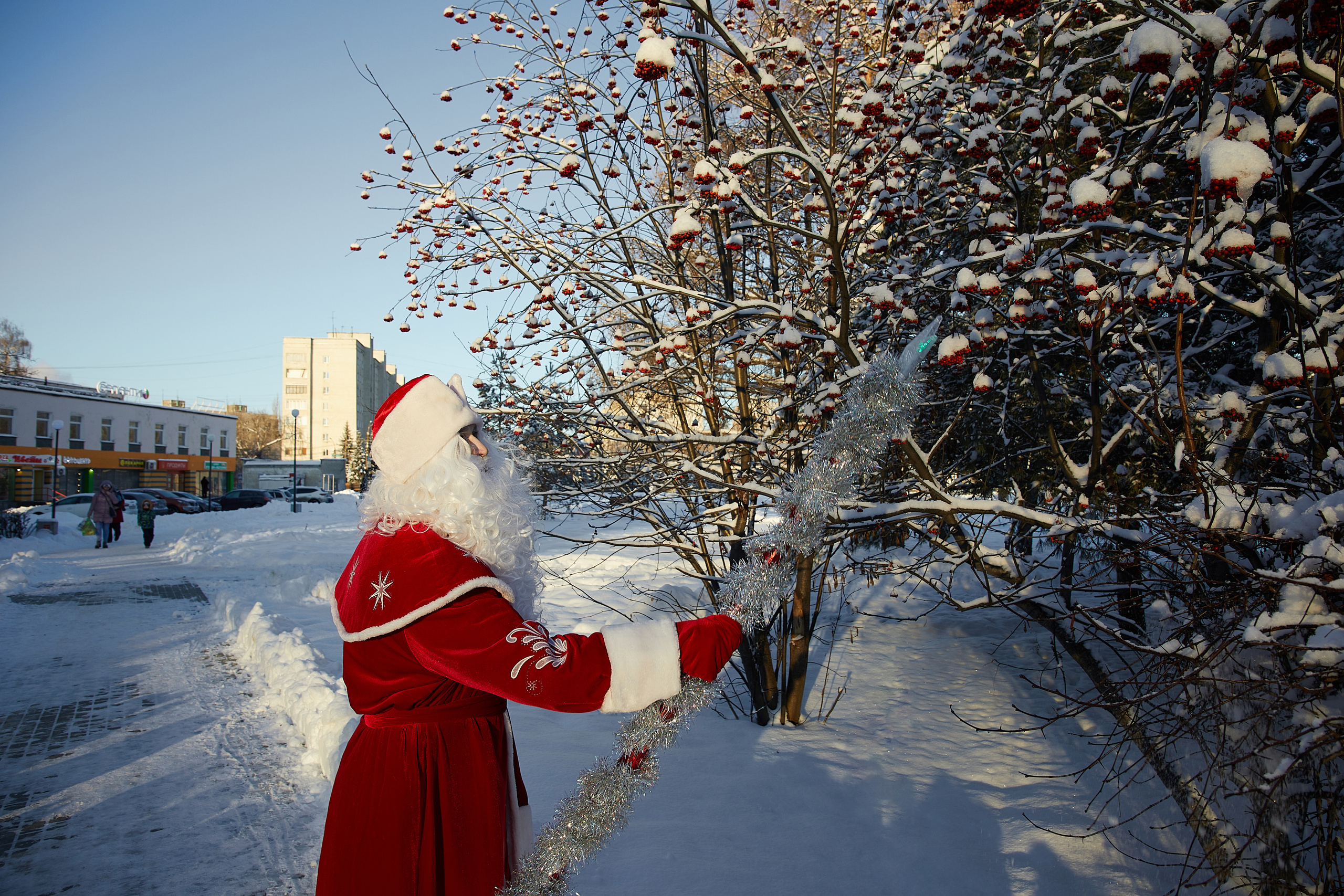 Новогодние съёмки. Татьяна Бабаева — Фотограф