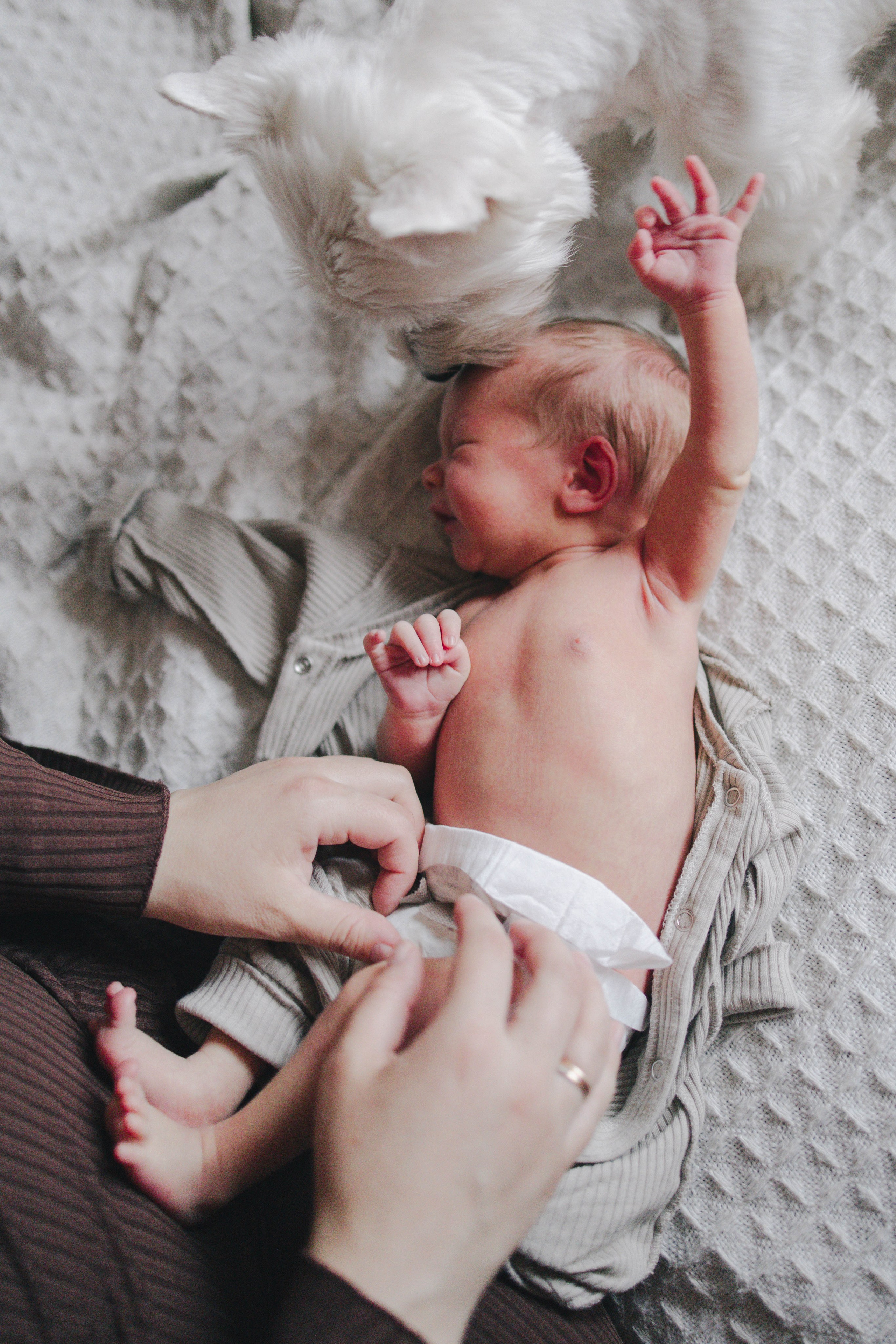 Фотосессия в честь рождения Ромы. Семейный и детский фотограф в Москве Маргарита Сереброва