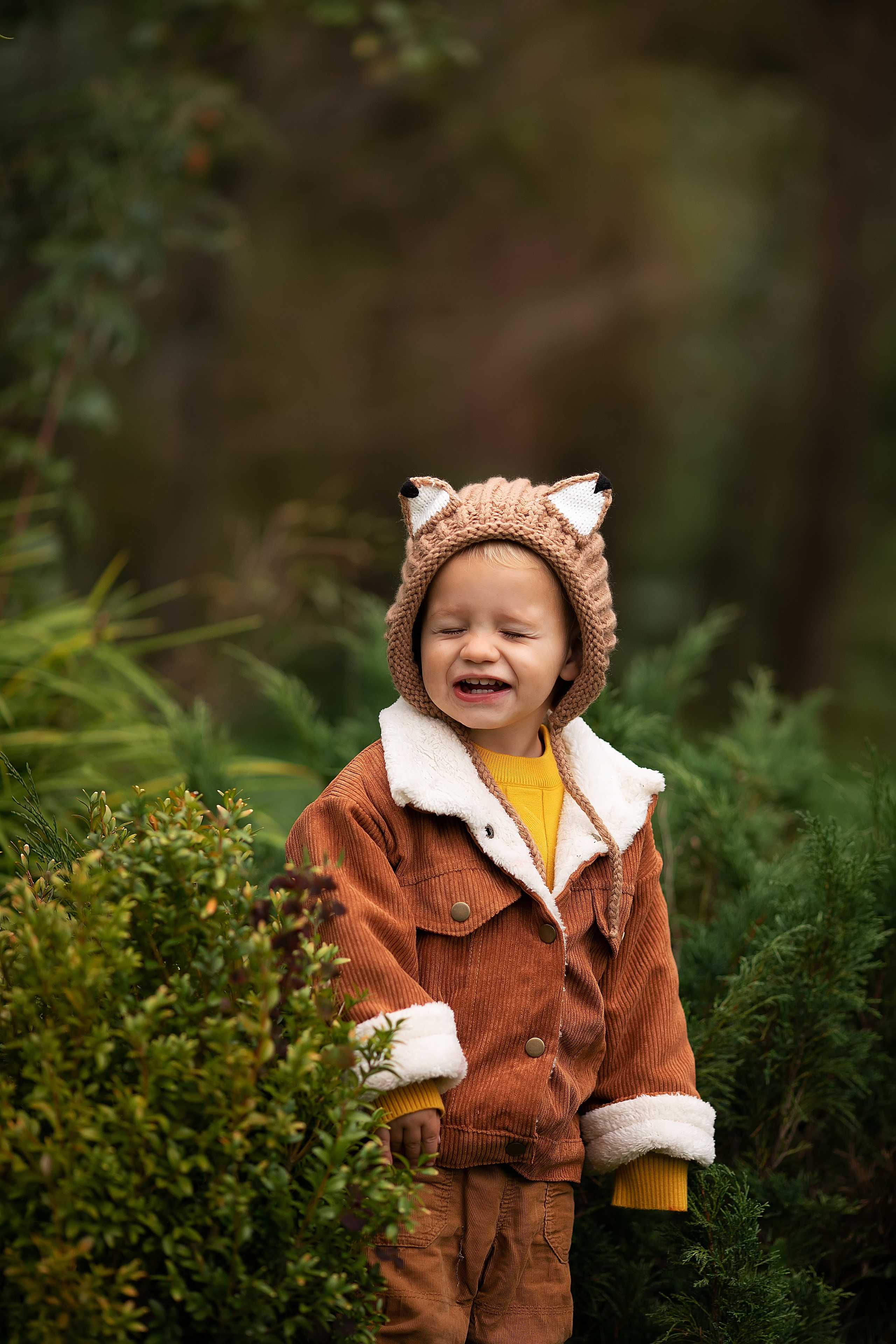 Сказочная осень. Главная