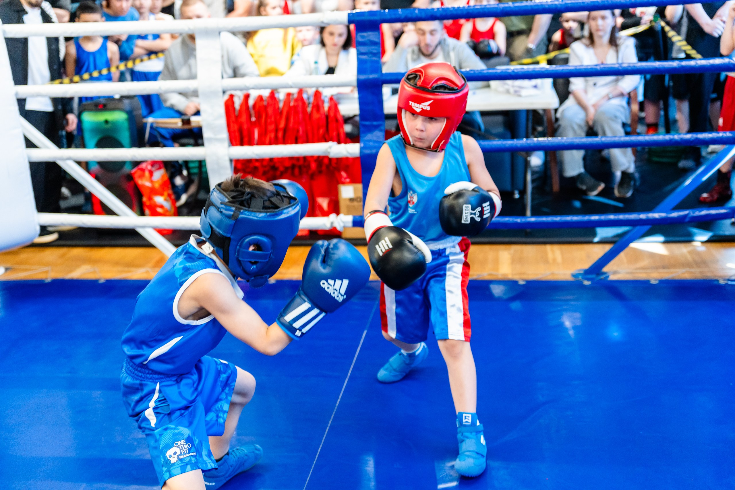 Открытый ринг. Репортажный и портретный фотограф в Нижнем Новгороде Максим Горшков