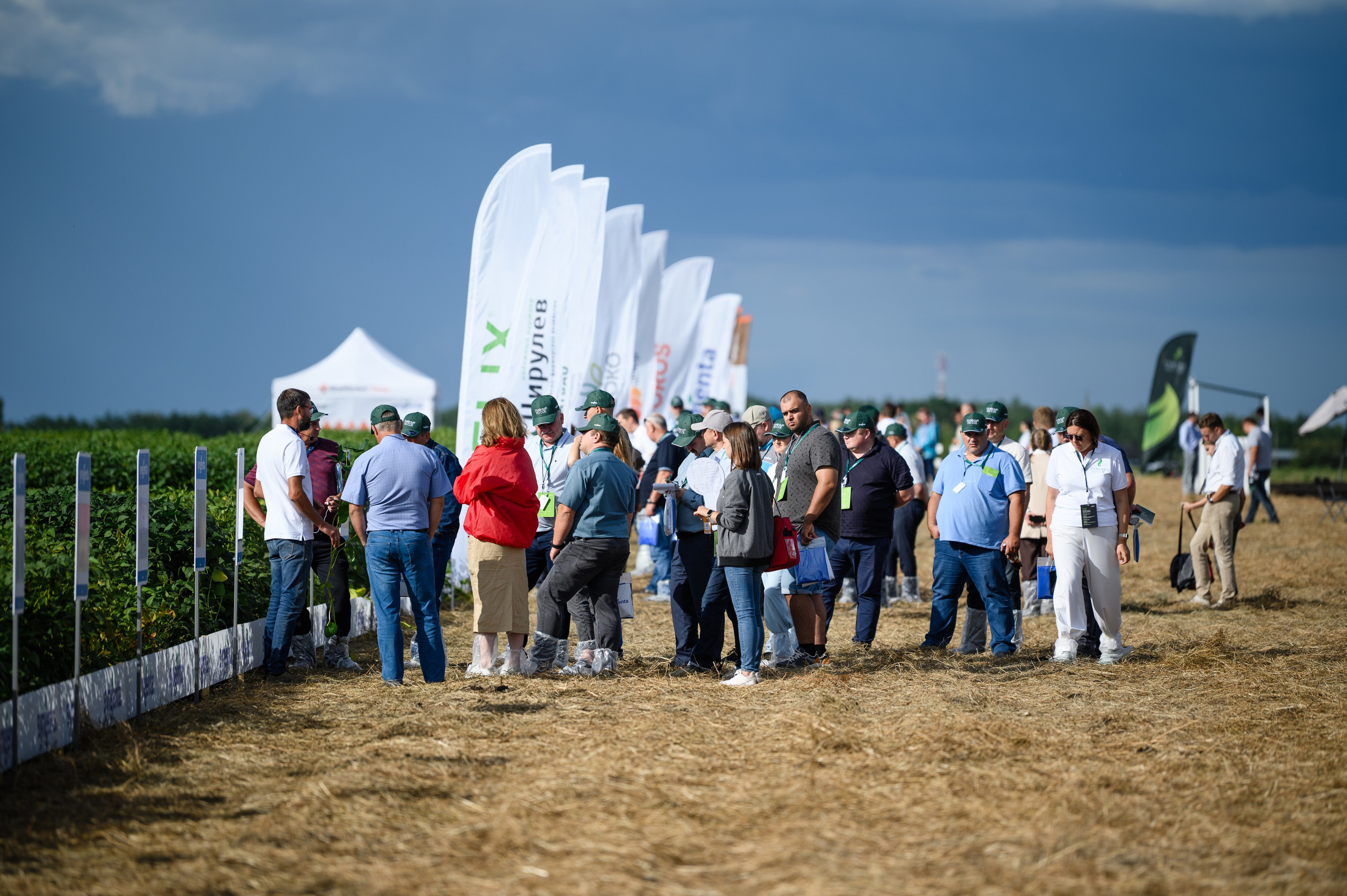 Проекты. Профессиональный фотограф Вячеслав Плацында | Липецк |
