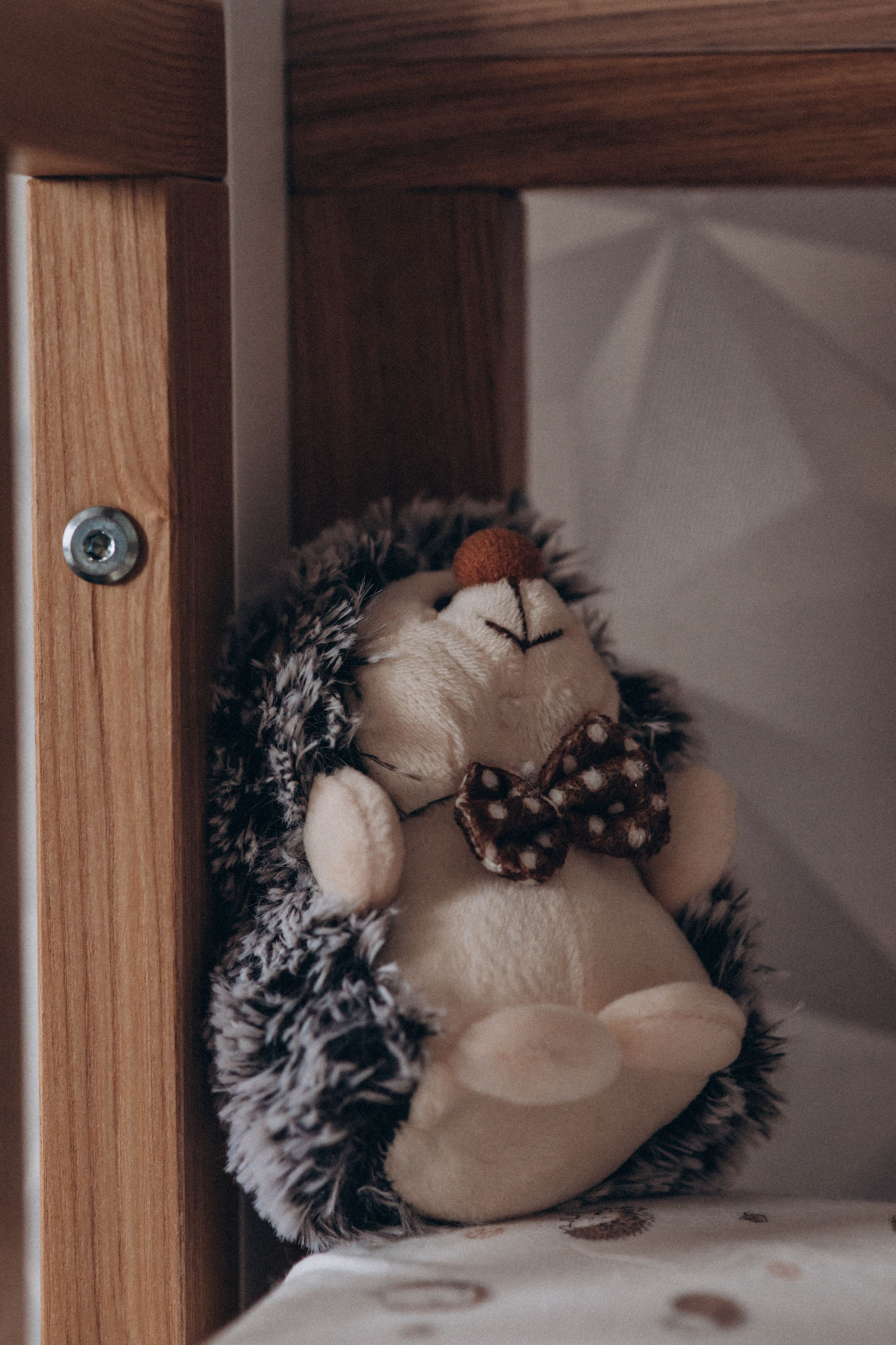 Семья Кербес. Семейный фотограф Нижневартовск Тюмень Ефимова Ирина