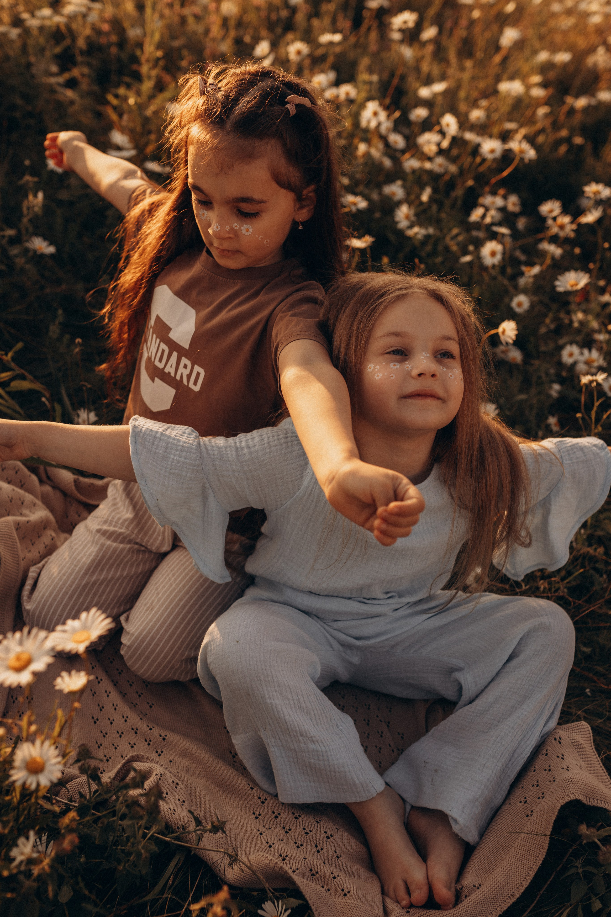 Закат на ромашковом поле. Фотограф в Ставрополе Svetlana Matveeva