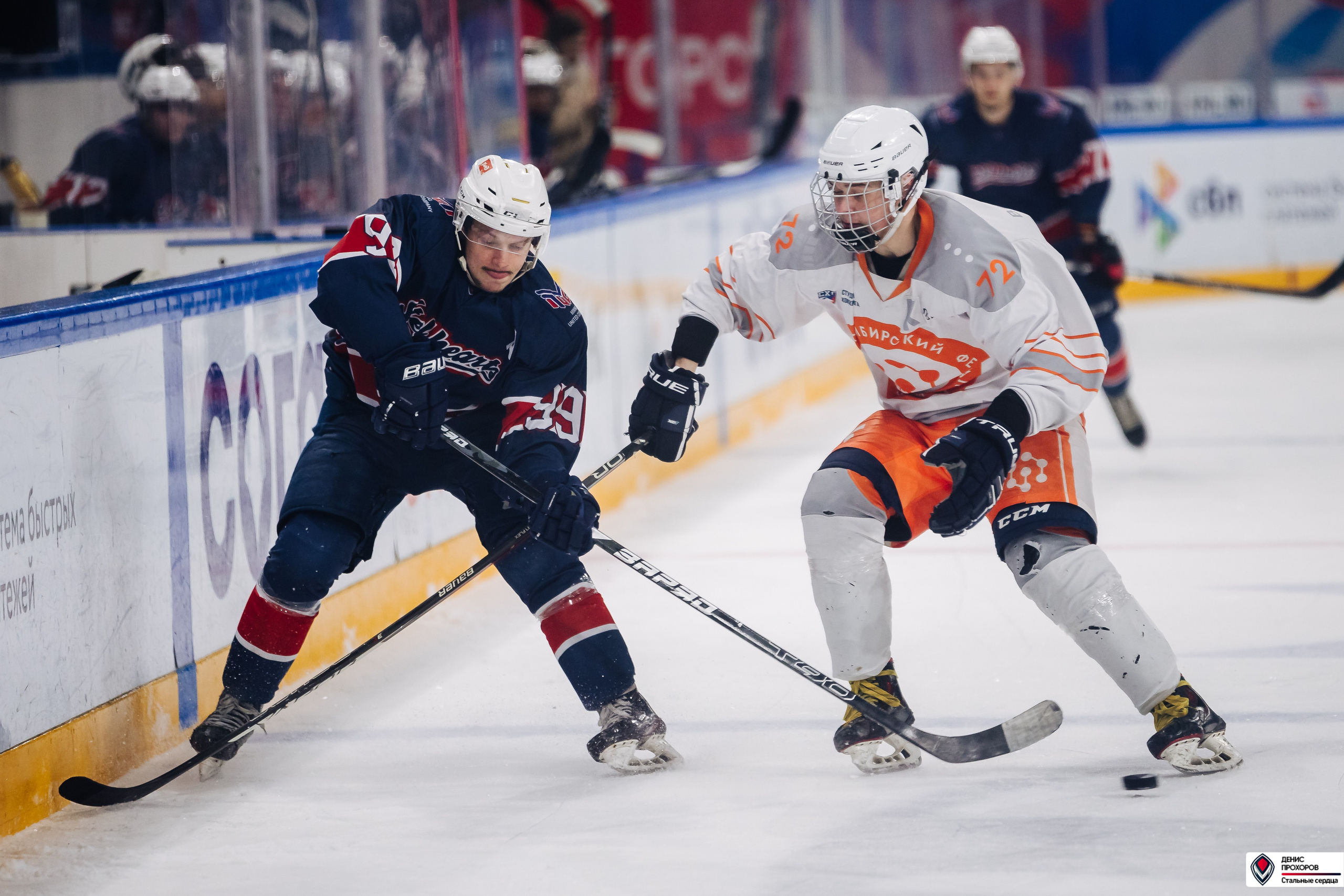 «Стальные сердца» — «СФУ» // 07-08.02.25. Денис Прохоров Фотограф в г. Магнитогорск