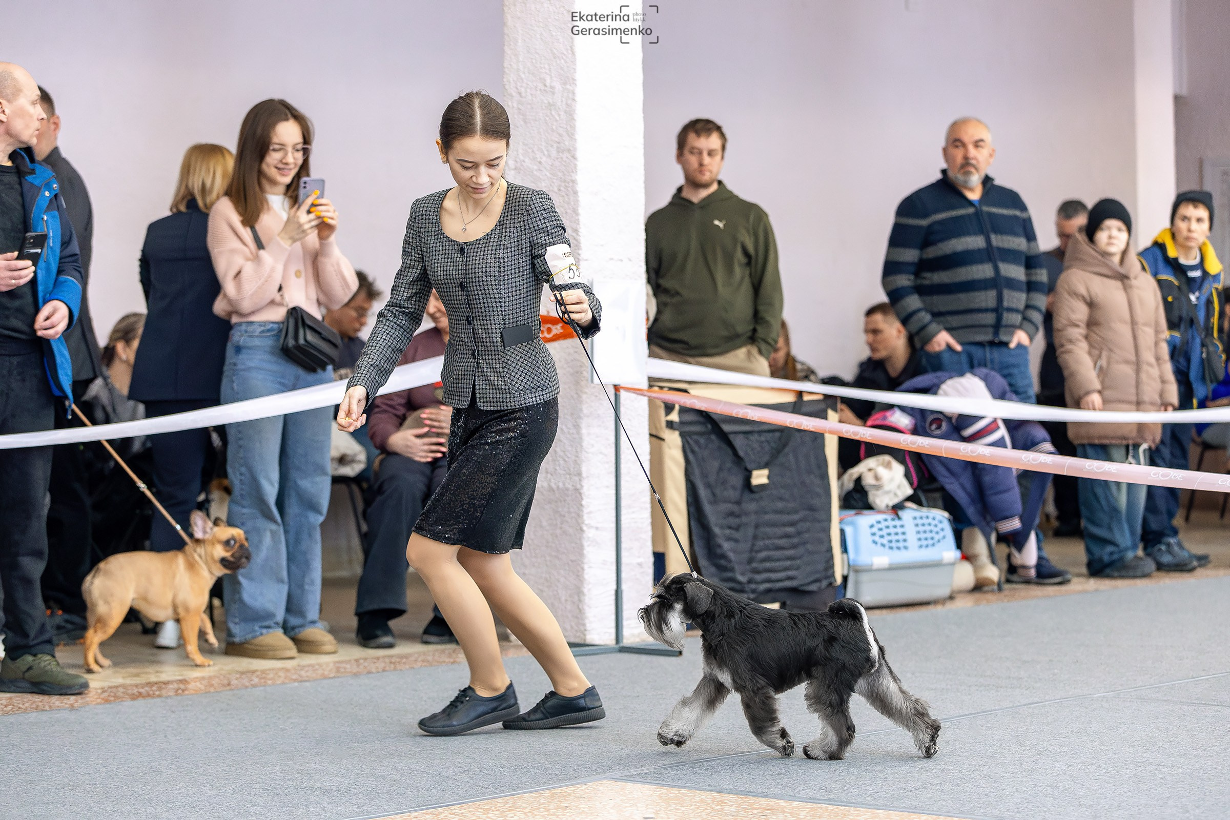 2 марта 2025, Выставка РКФ, г. Пермь. Htykk_photo