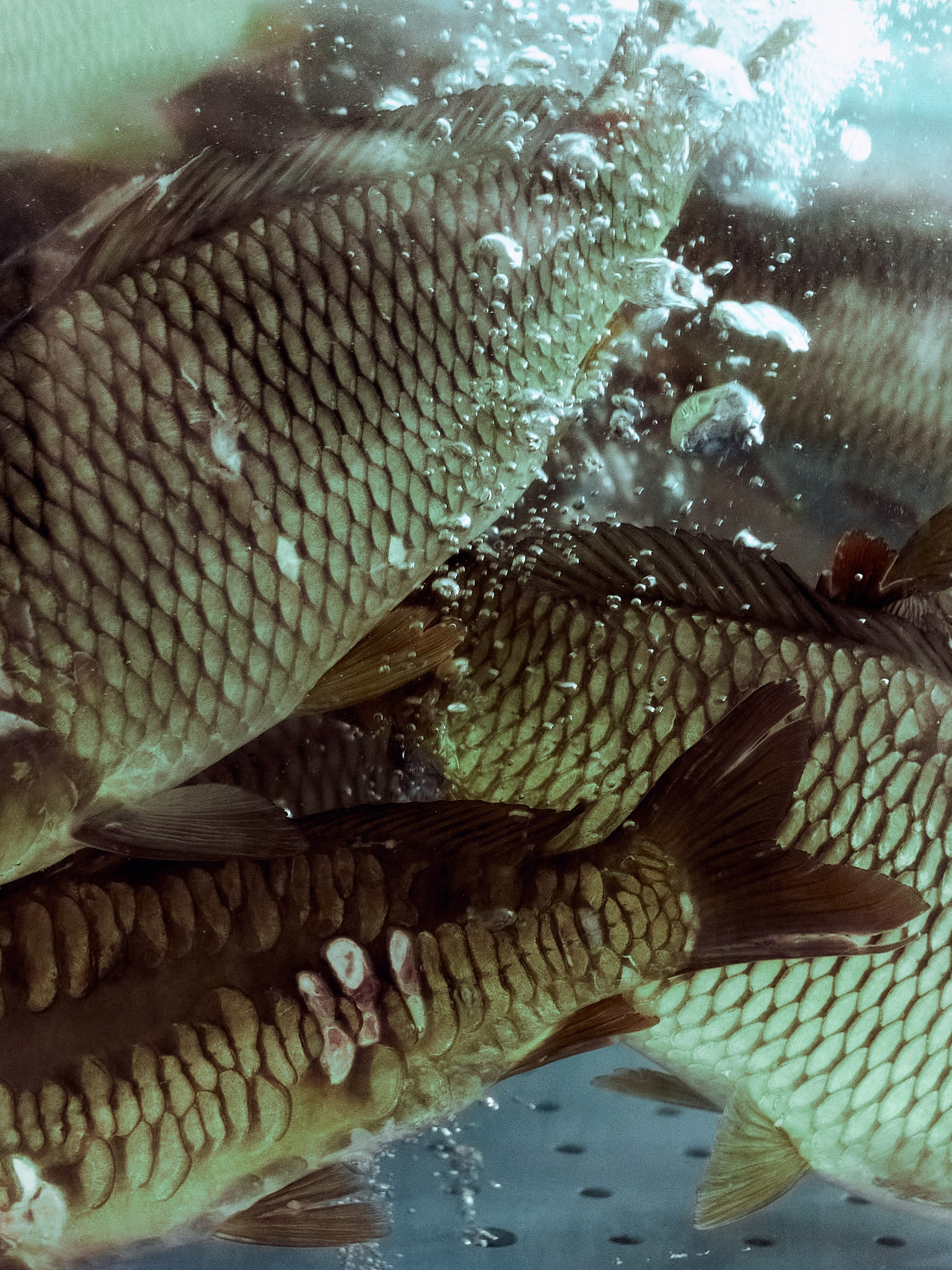 Ростов-на-Дону «Тысяча лиц воды». ARTEXPOPHOTO