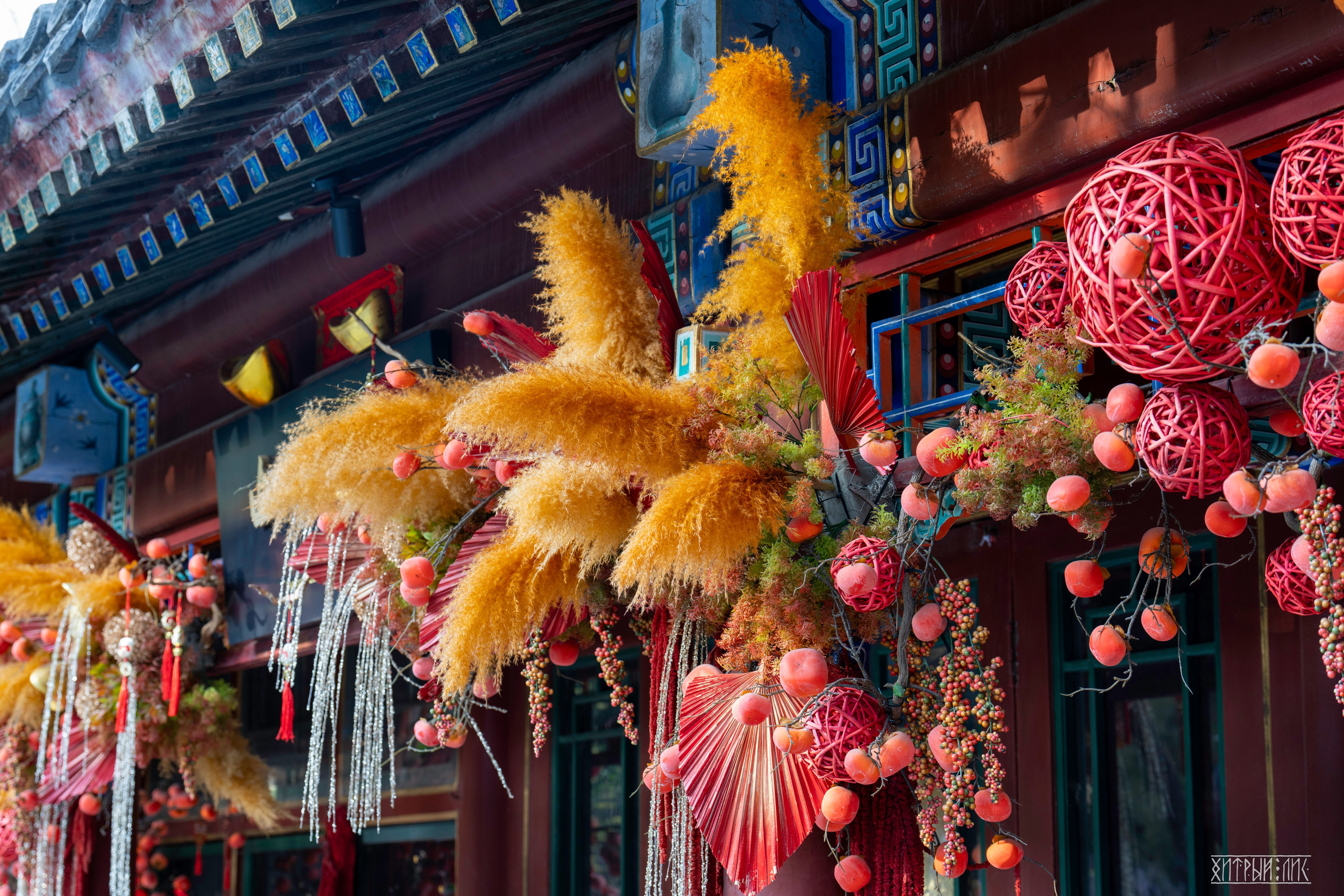 Пекин. Фотограф-путешественник Самойлов Максим «Sly Fox»