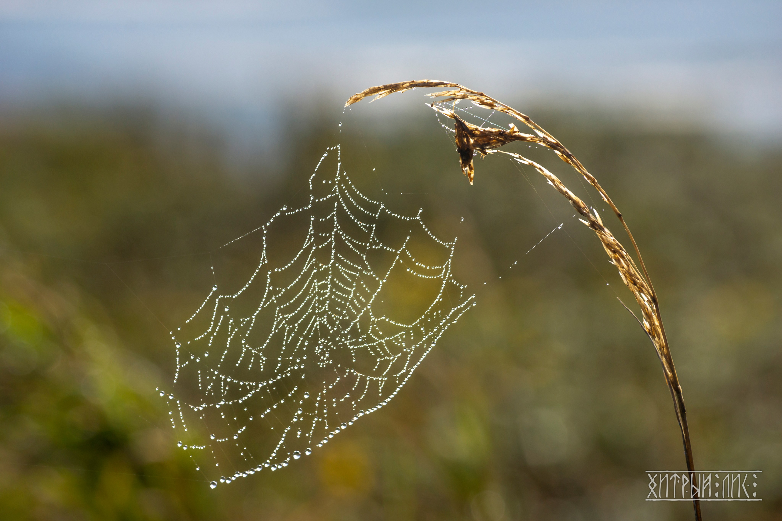 Сахалин. Фотограф-путешественник Самойлов Максим «Sly Fox»