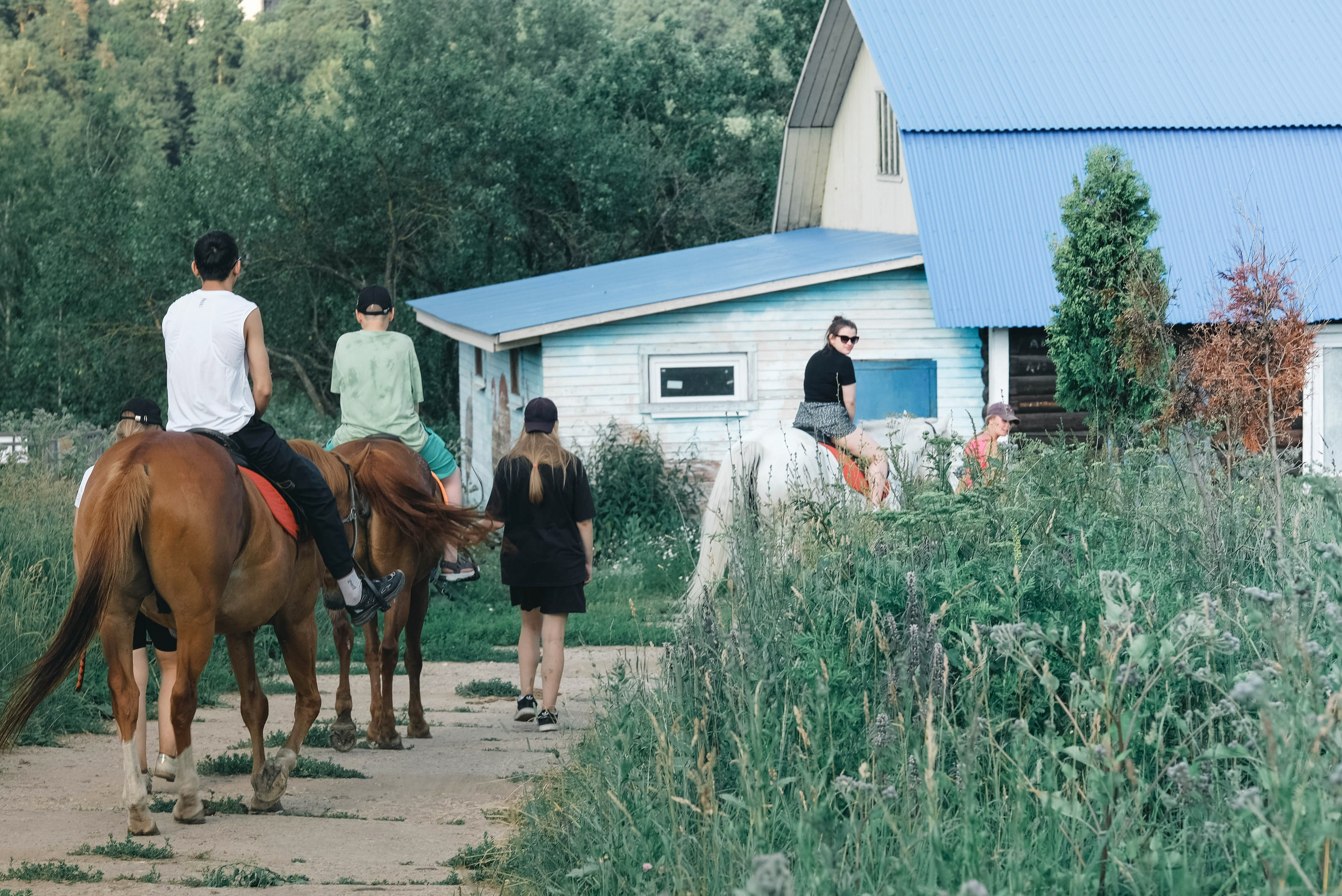 Конюшня. KRUTOVA_фотографирую жизнь