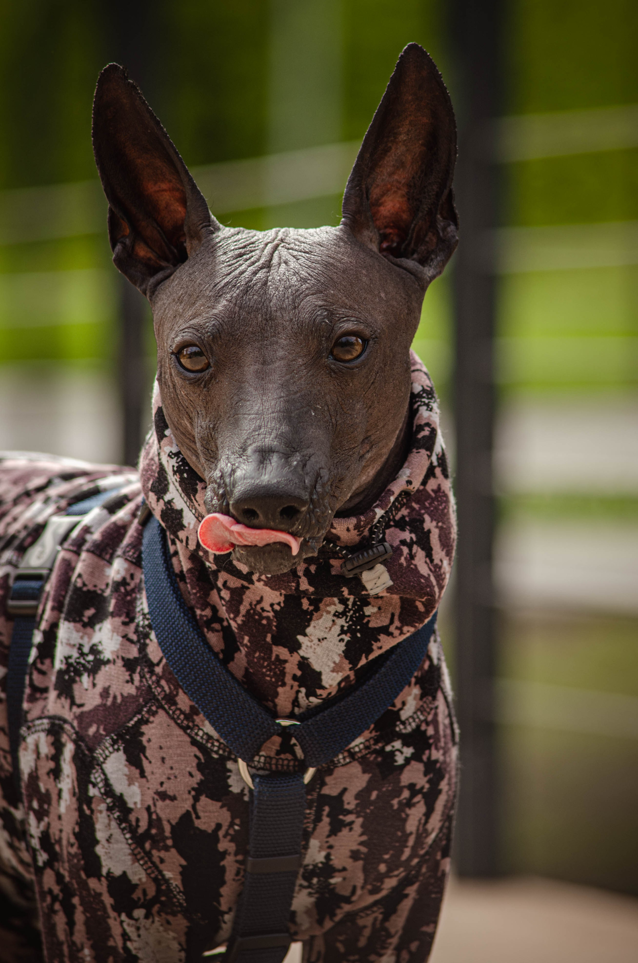 Сёма. Фотограф Светлана Блинова, Москва и Московская область