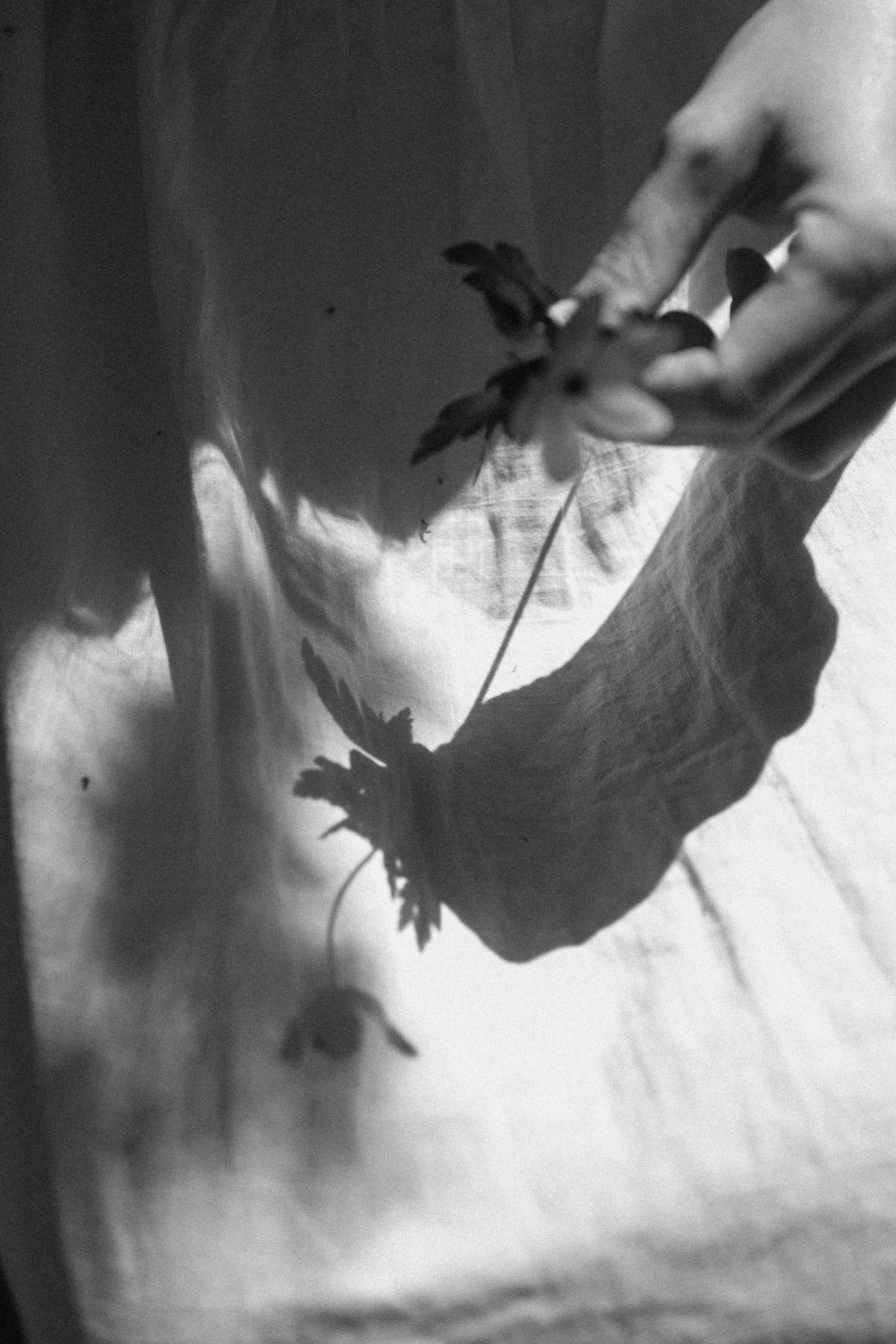 Эстетика П р о Я в л е н и я. Виноградова Маргарита. Фотограф P r o Явления