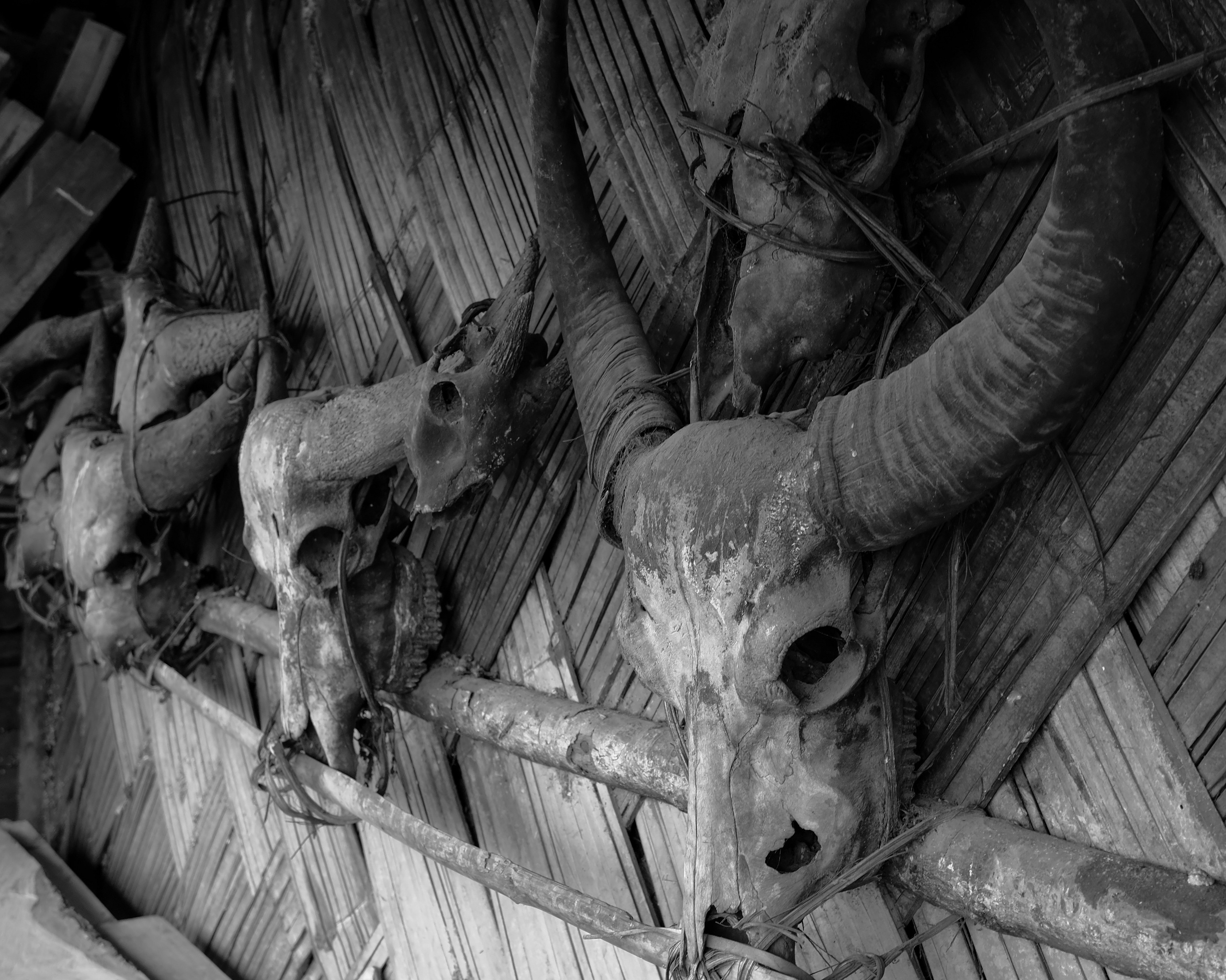 Головорезы. Нагаленд. Фотографии из путешествий